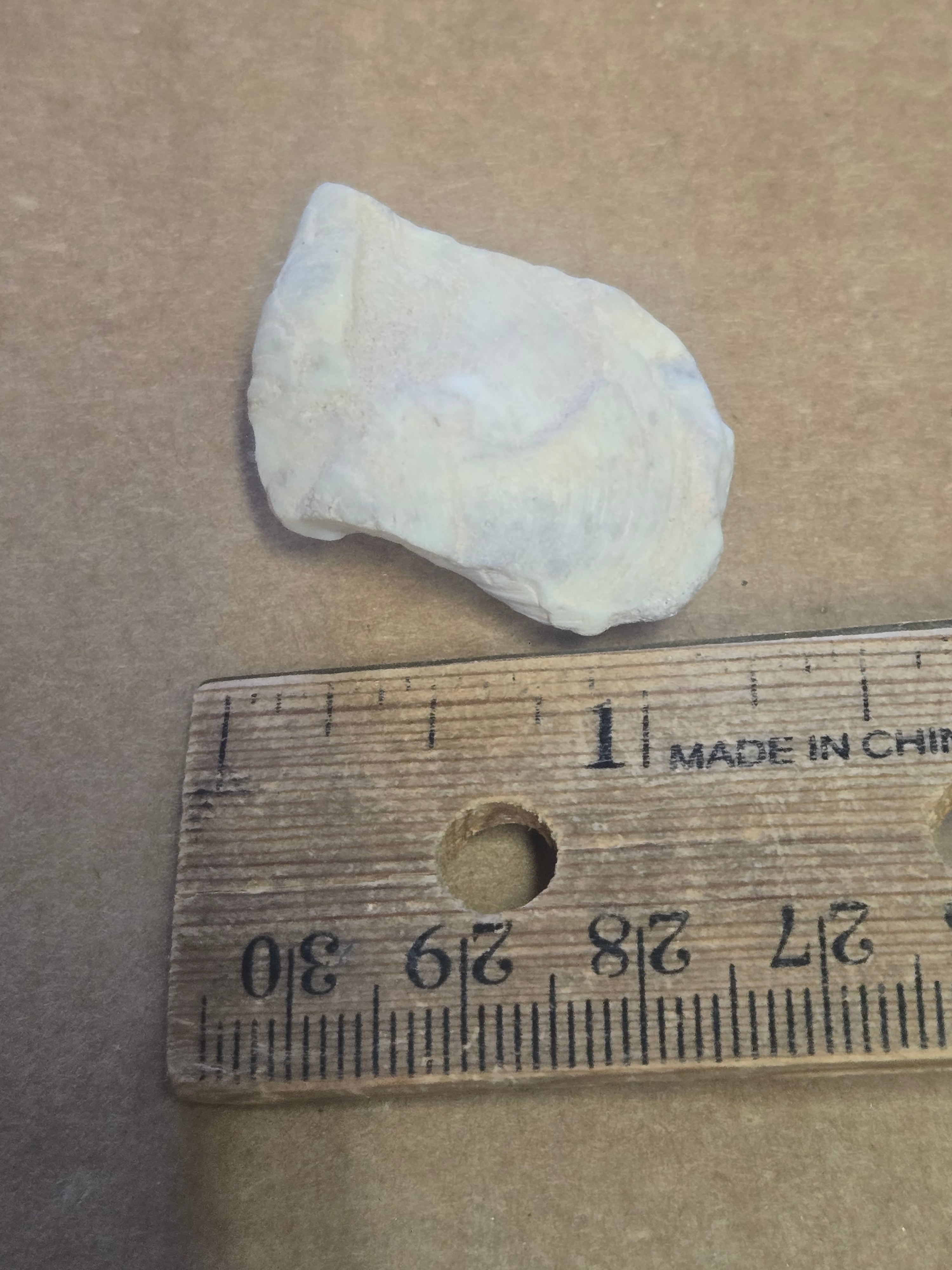 Opalized Brachiopod specimen