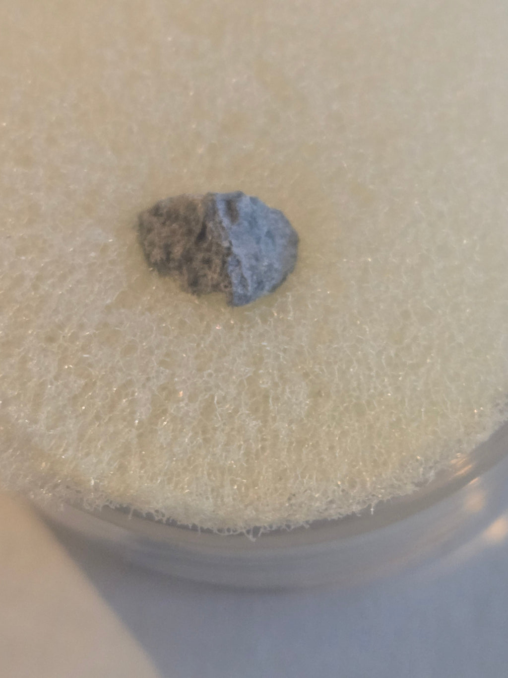 Oued el Hadjar meteorite specimen LL 6 chondrite