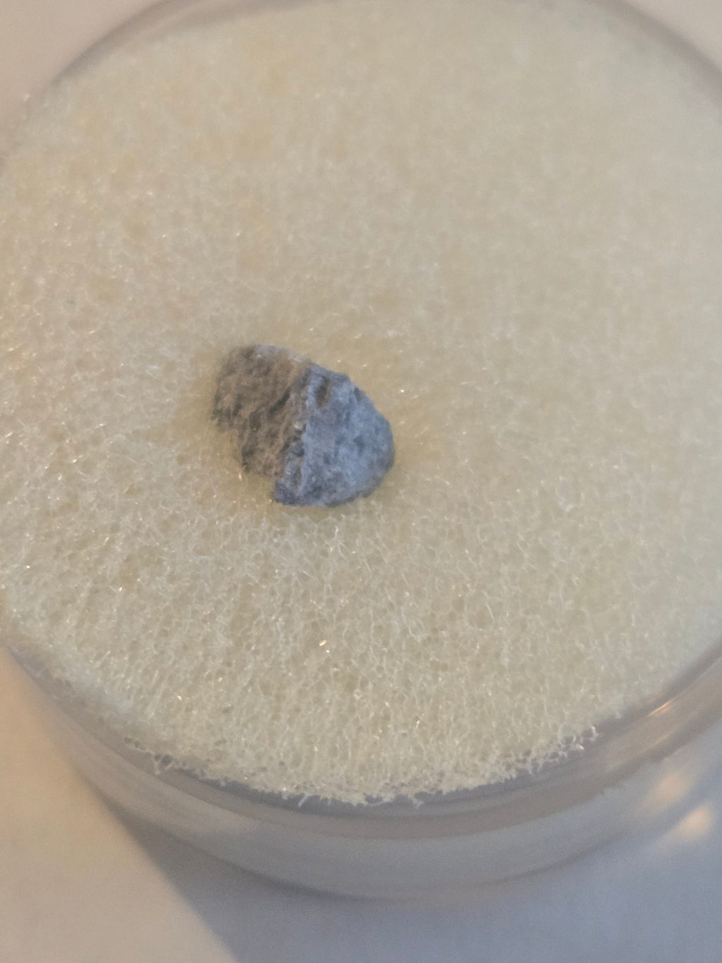 Oued el Hadjar meteorite specimen LL 6 chondrite