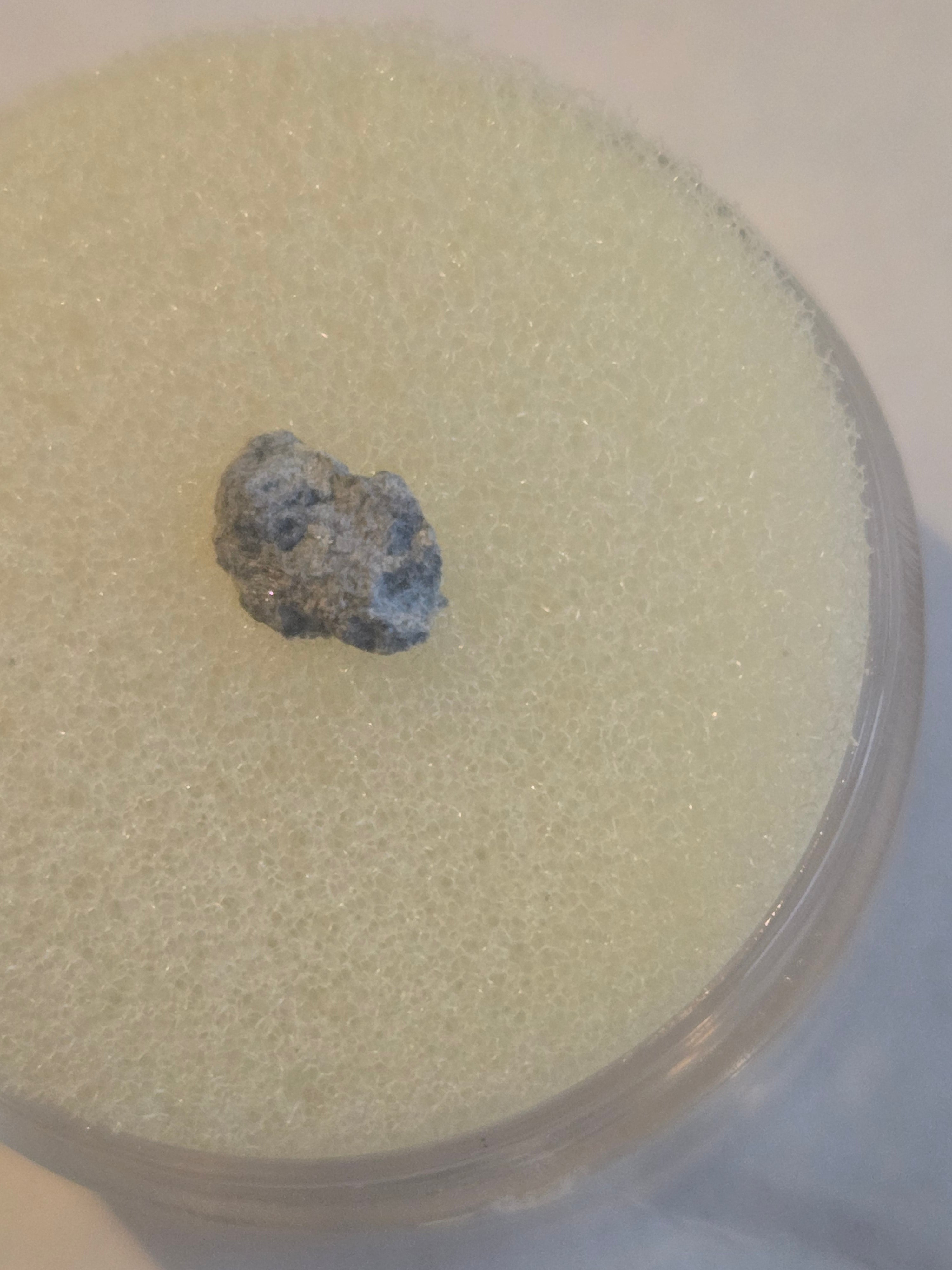 Oued el Hadjar meteorite specimen LL 6 chondrite