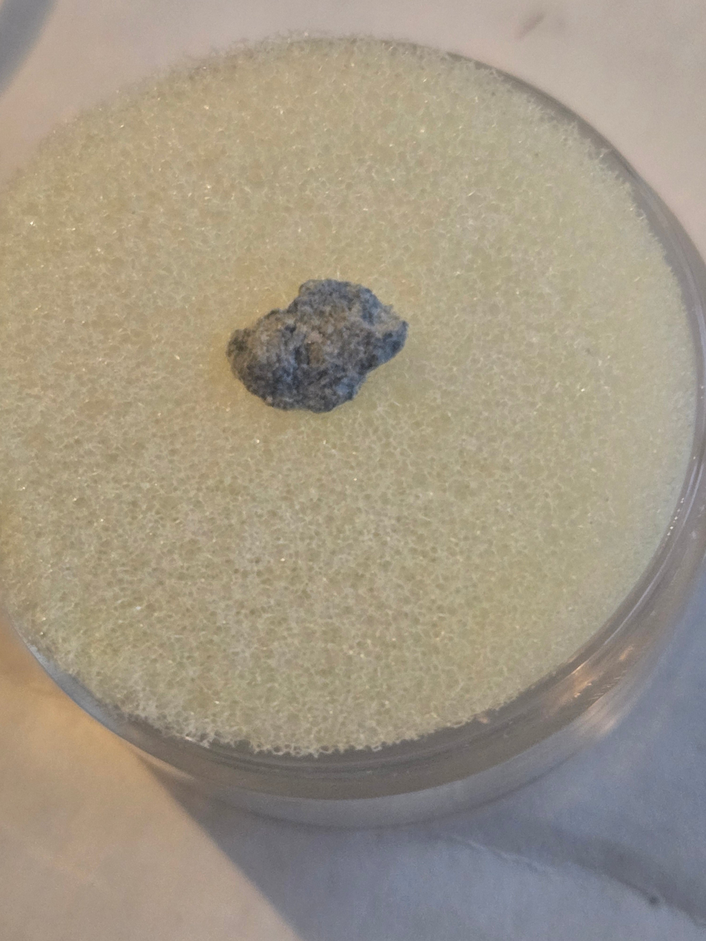 Oued el Hadjar meteorite specimen LL 6 chondrite