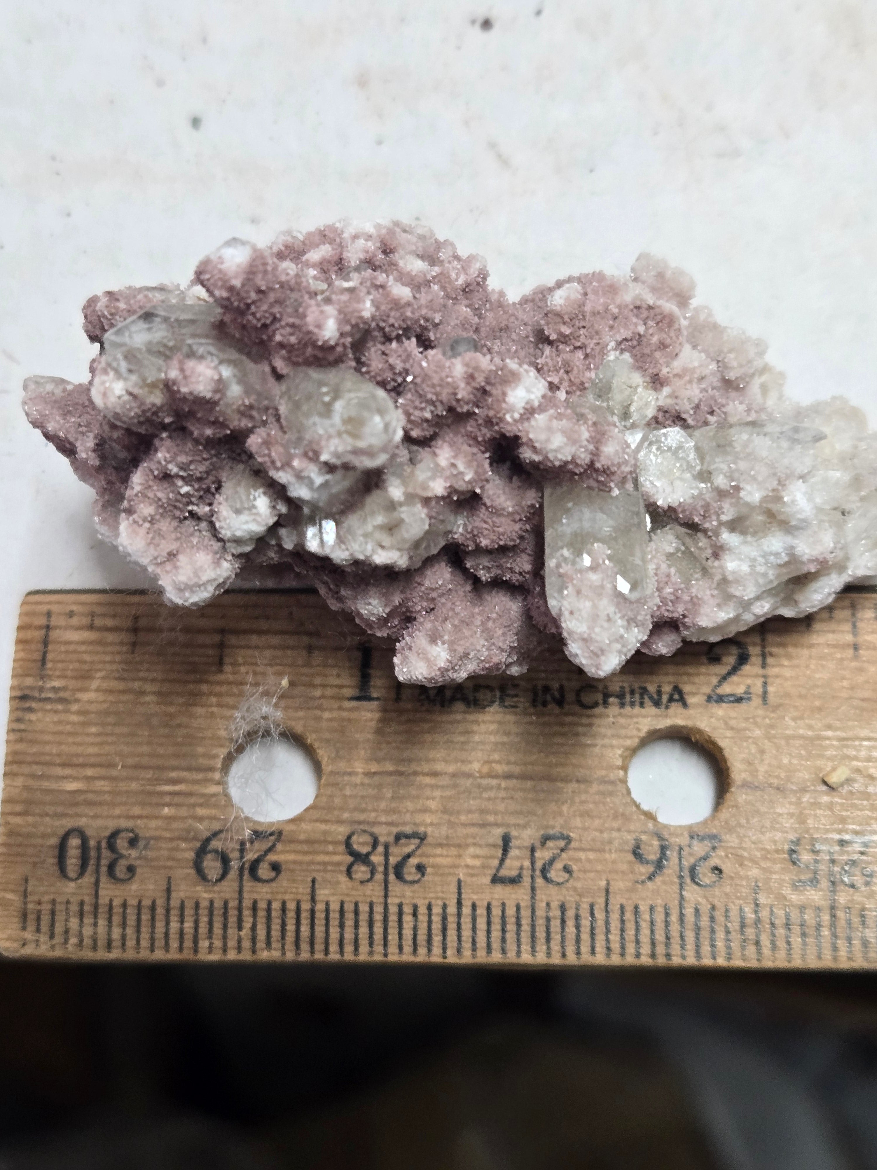 Oyelite