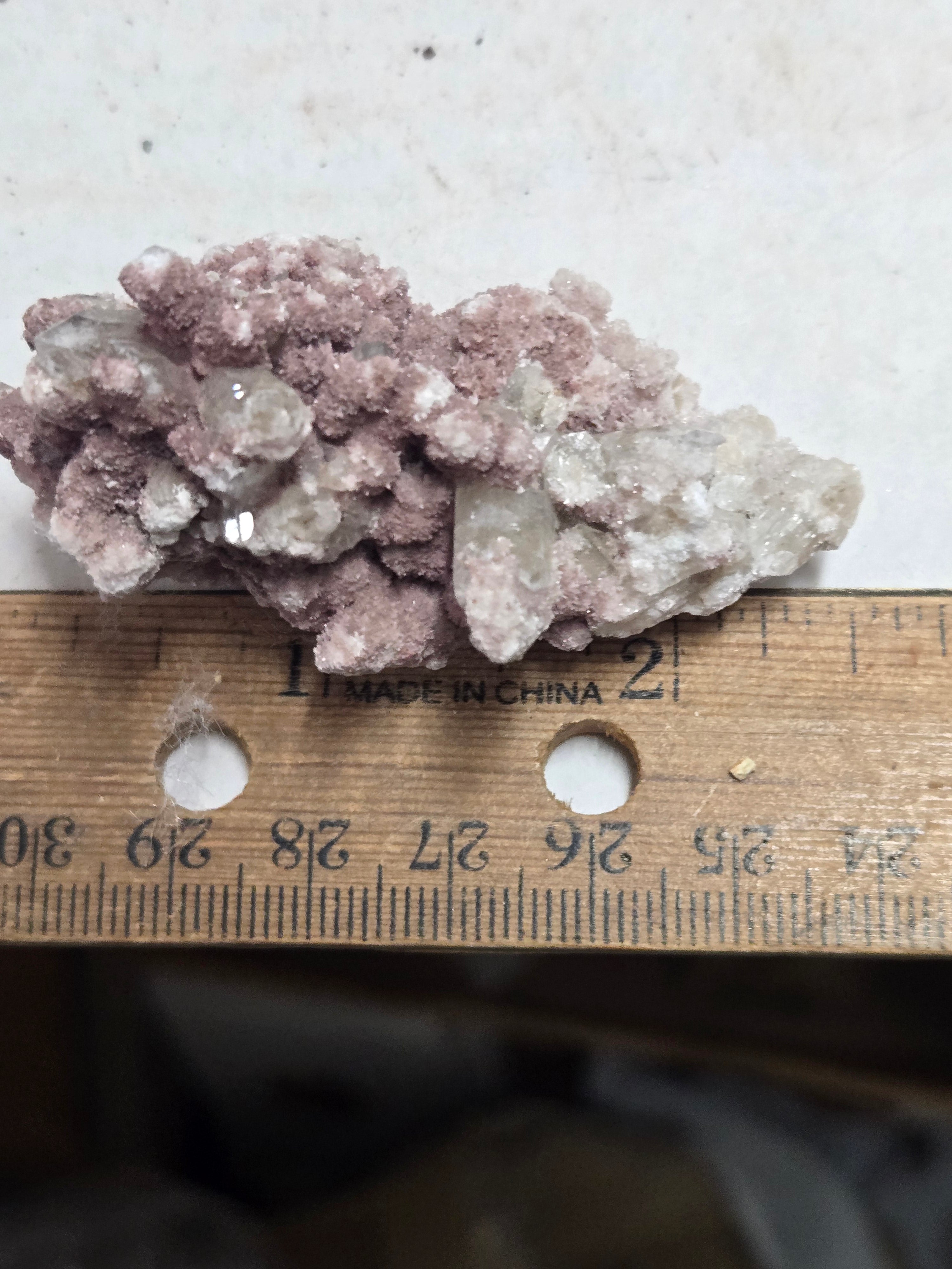 Oyelite