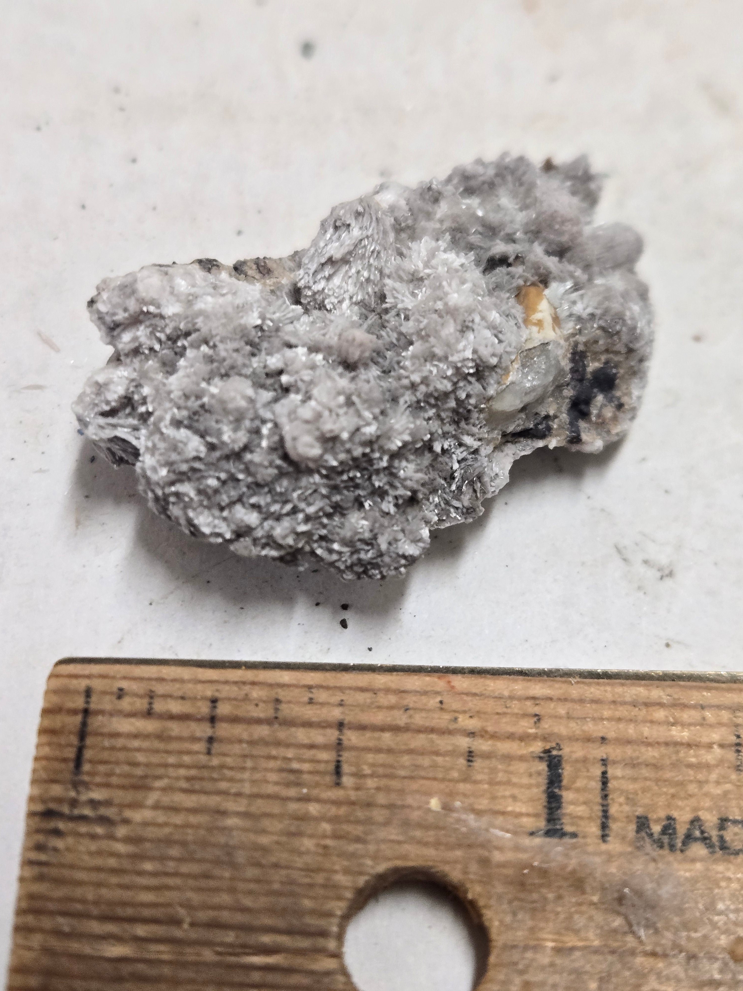 Oyelite