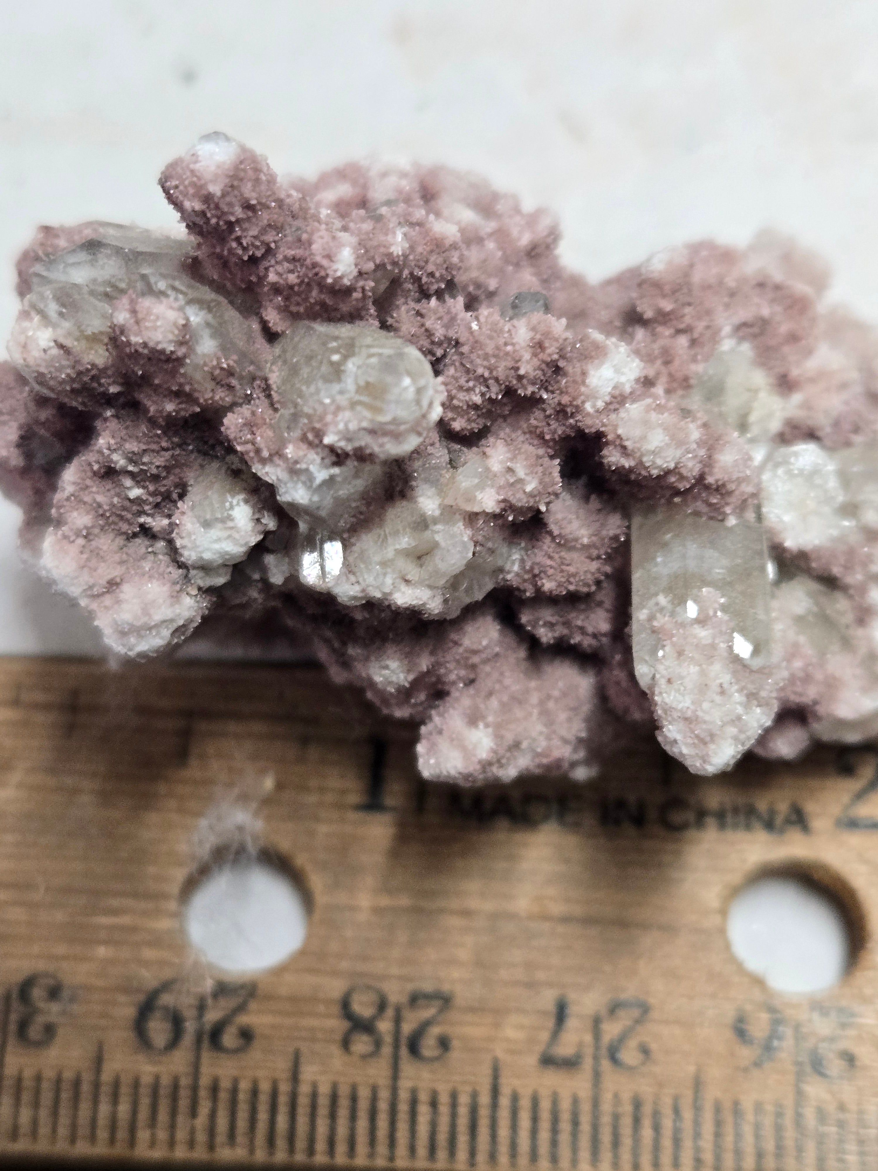 Oyelite