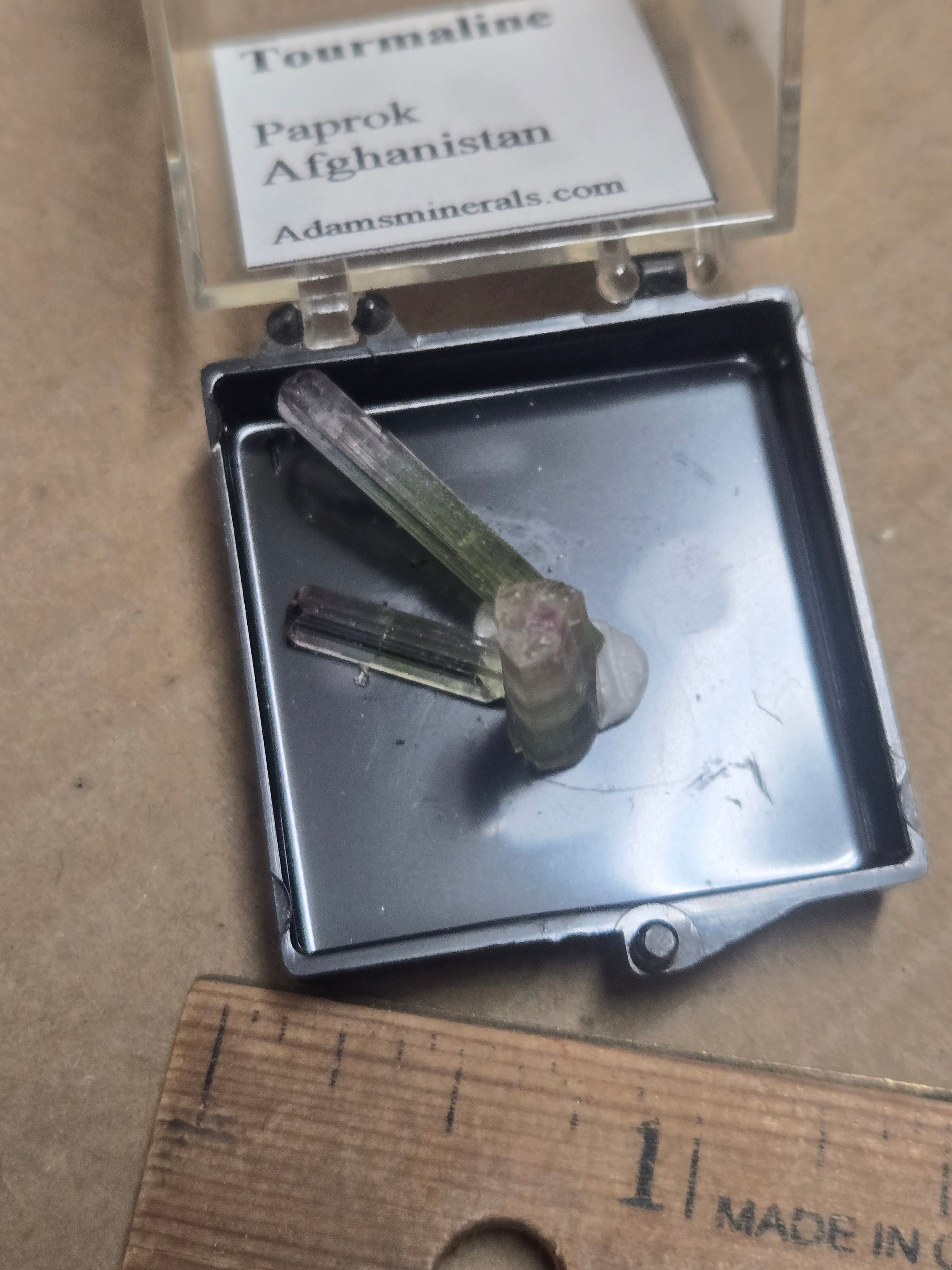 Paprok tourmaliine