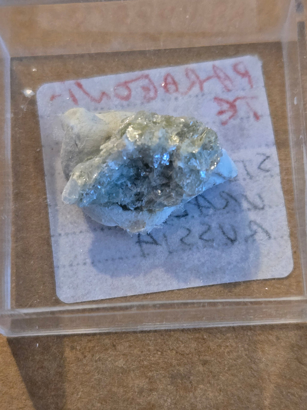 Paragonite