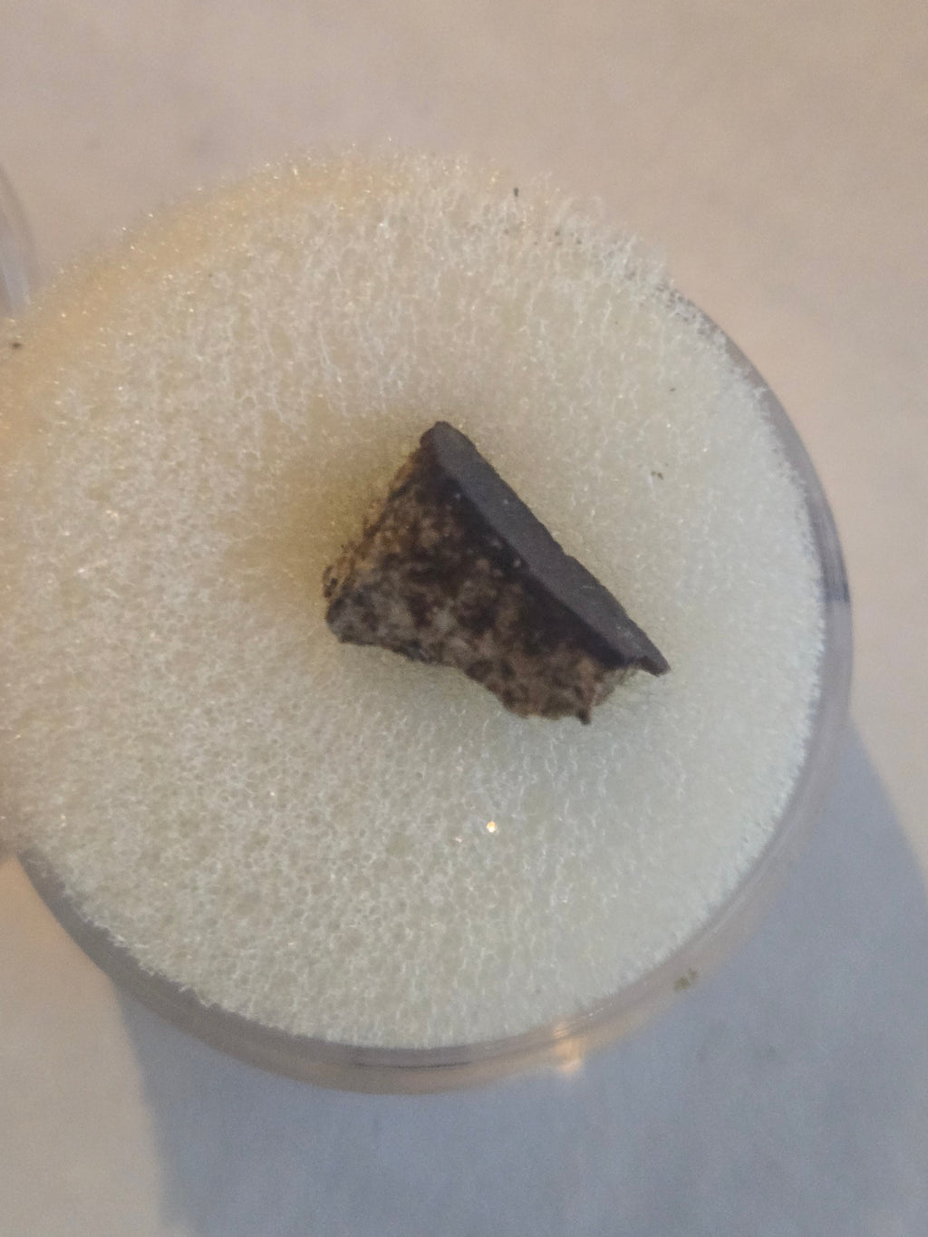 Patagonia meteorite