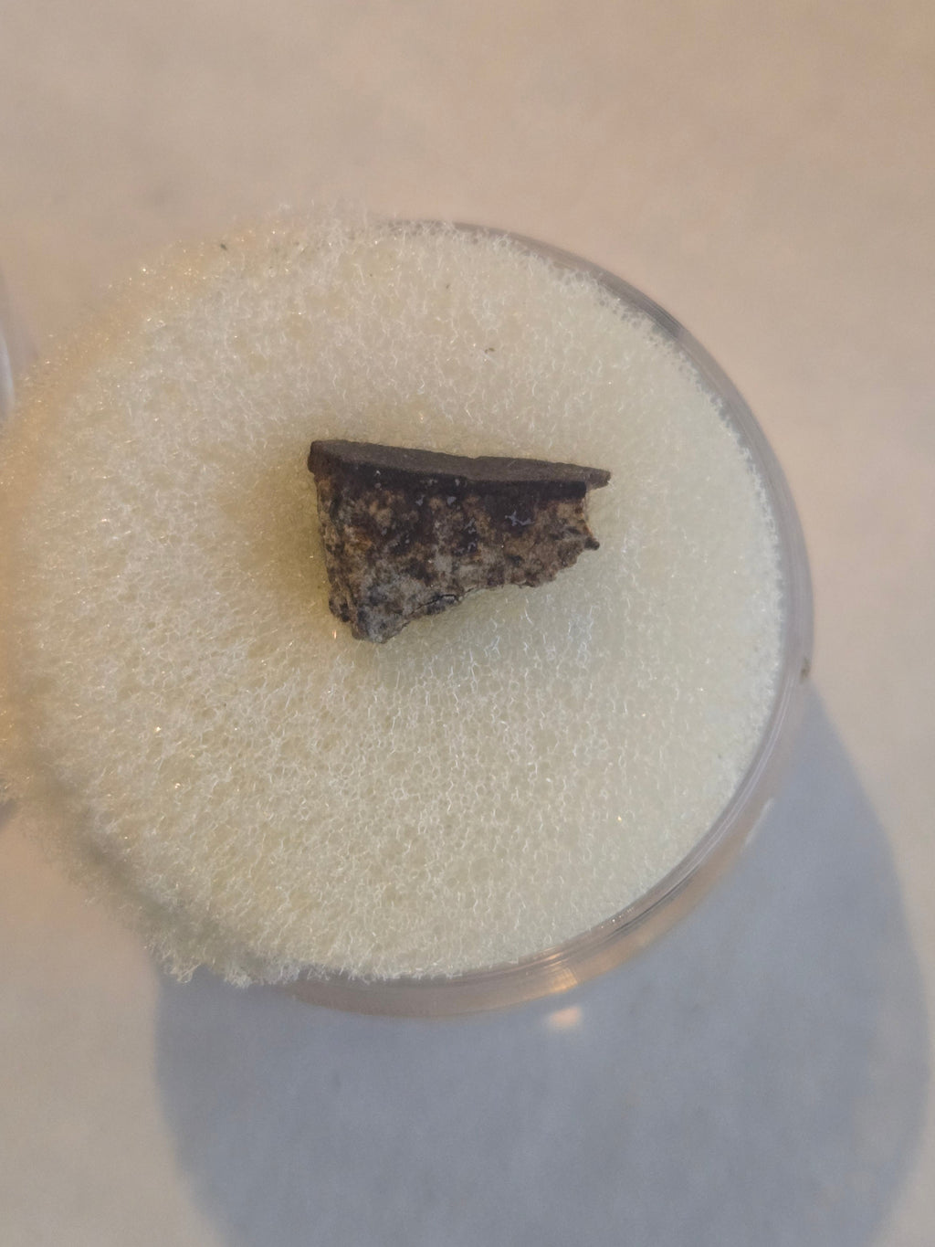 Patagonia meteorite