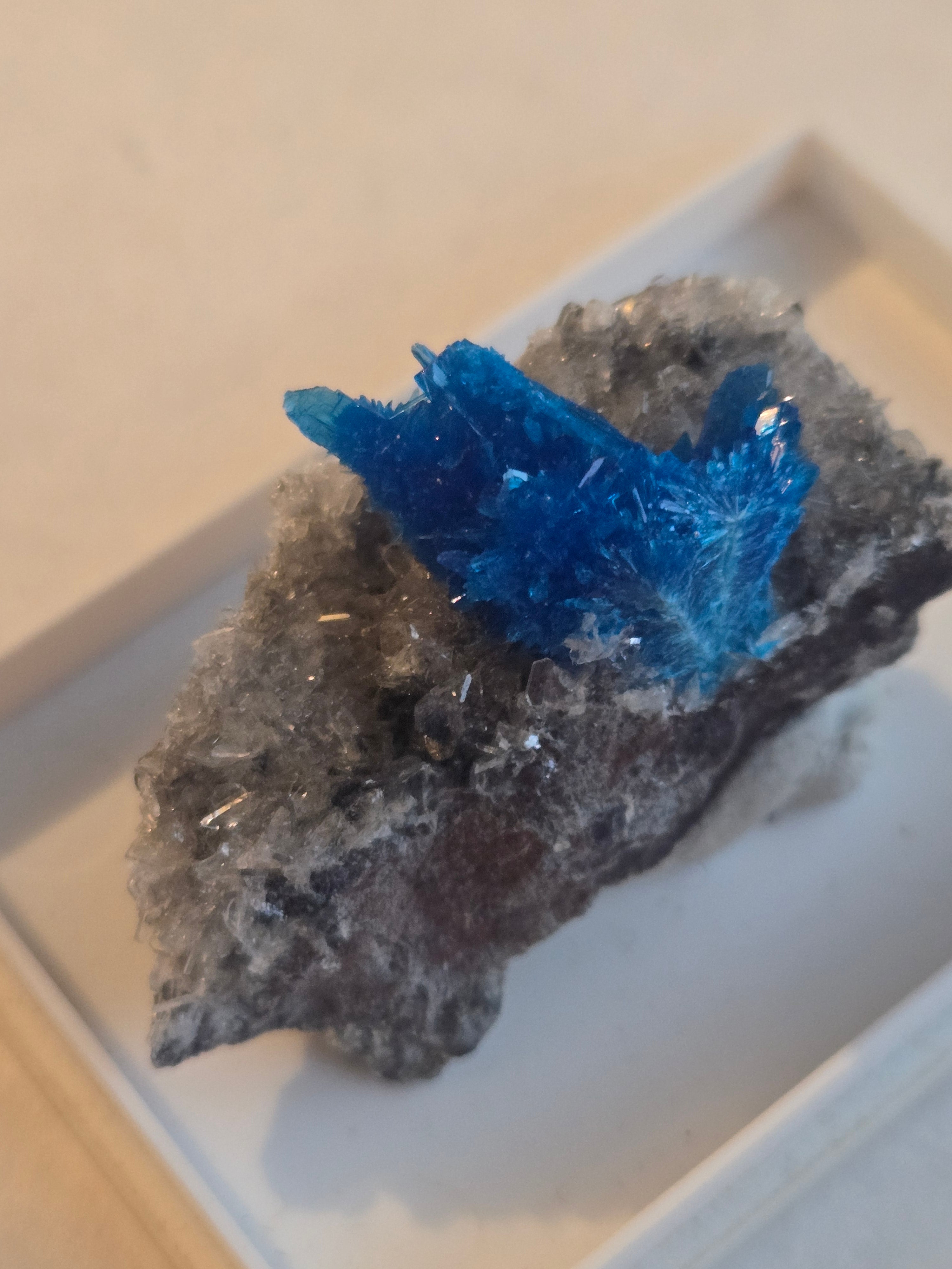 Pentagonite