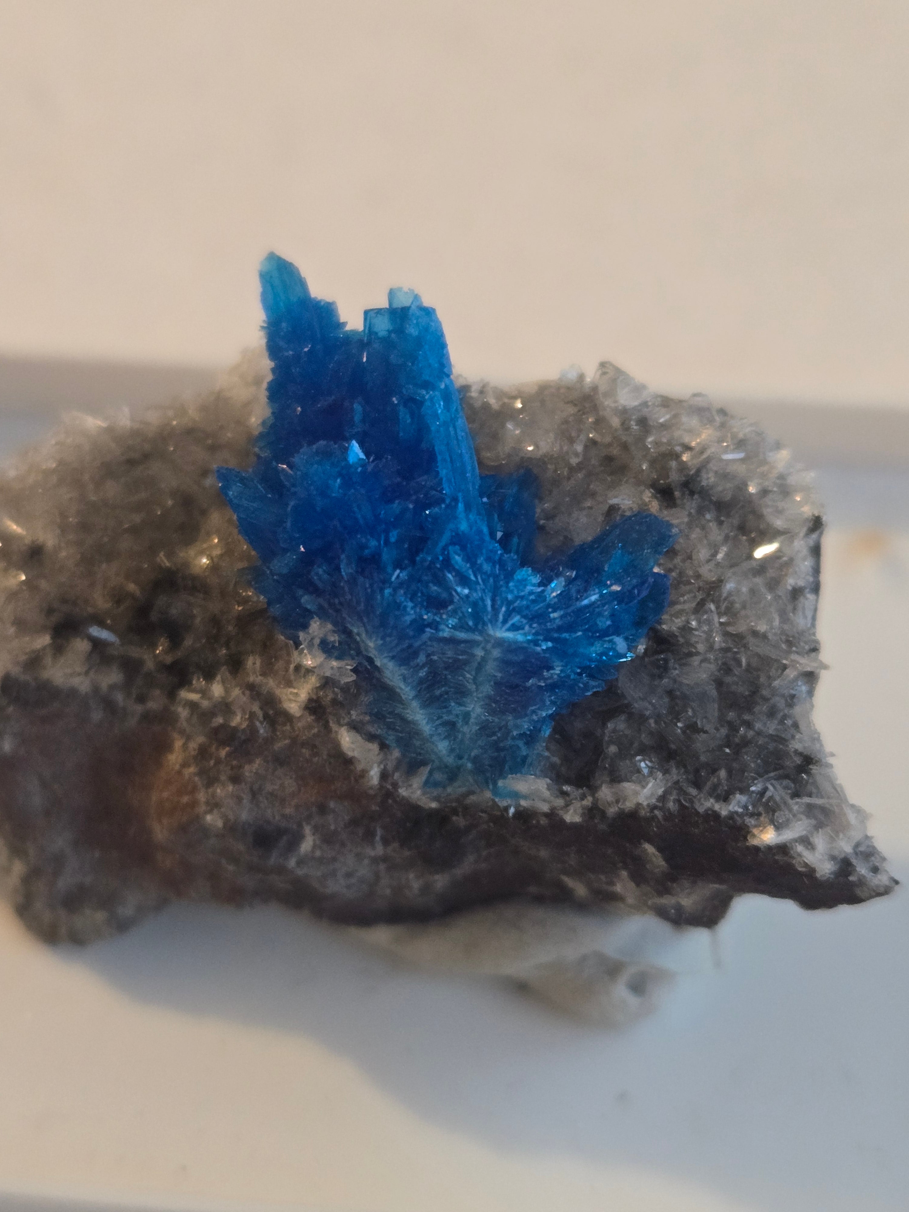 Pentagonite