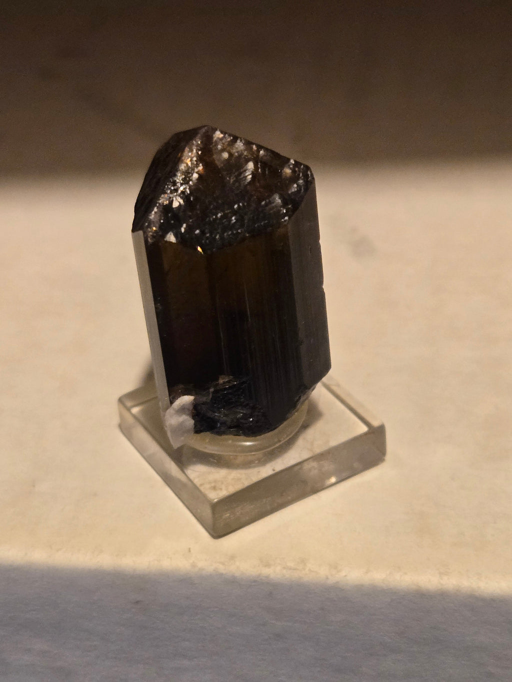 Phantomed Liddicoatite Tourmaline specimen