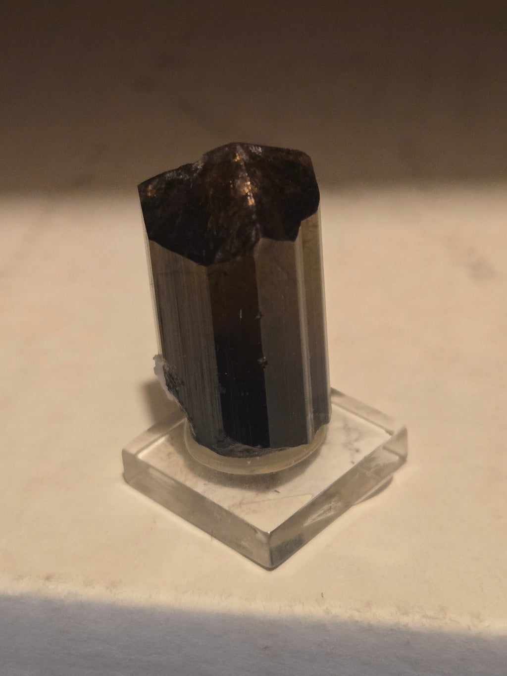 Phantomed Liddicoatite Tourmaline specimen