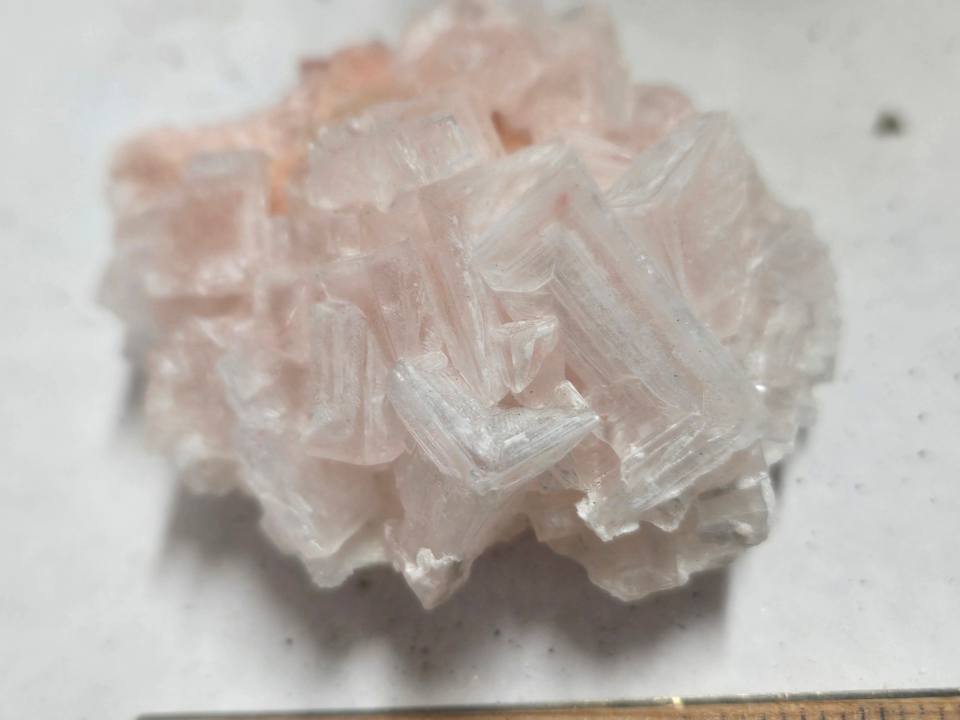 Pink halite