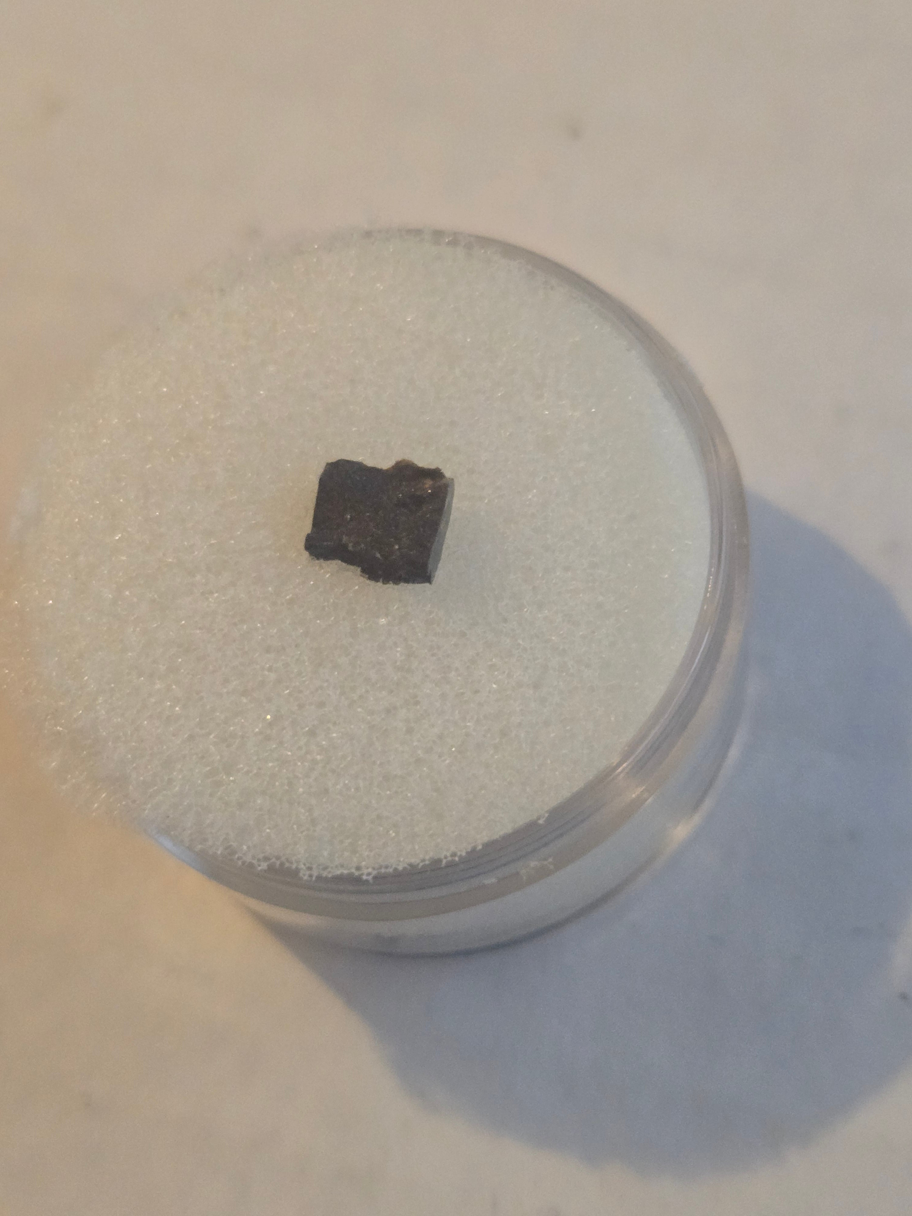 Plainview Meteorite Specimen