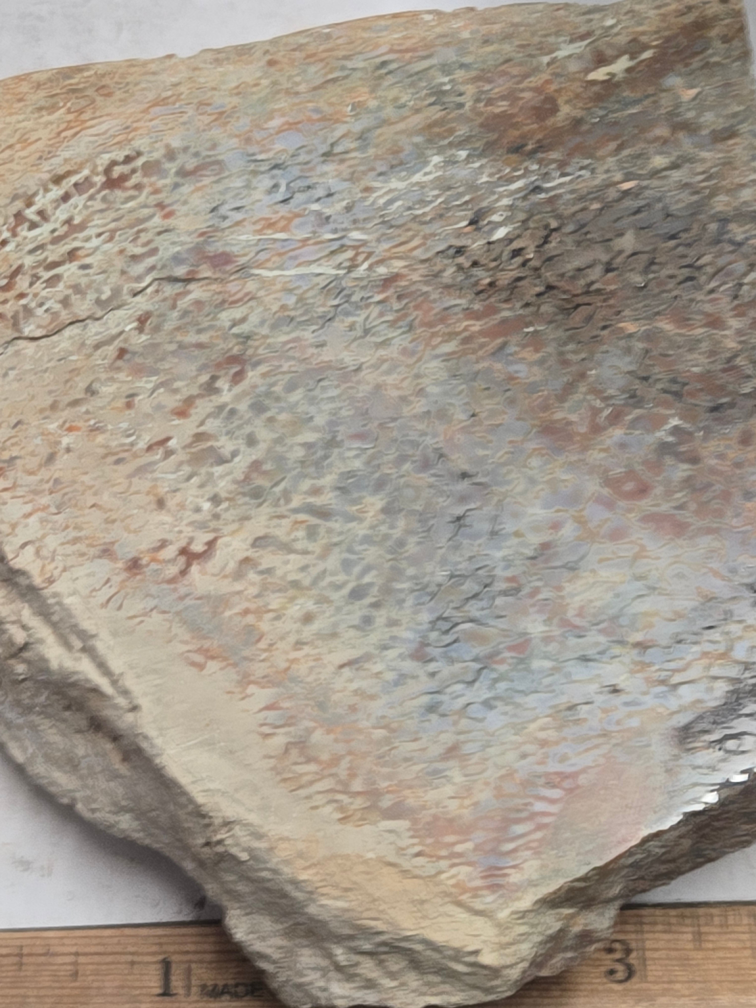 Polished Pink Dinosaur Bone Specimen