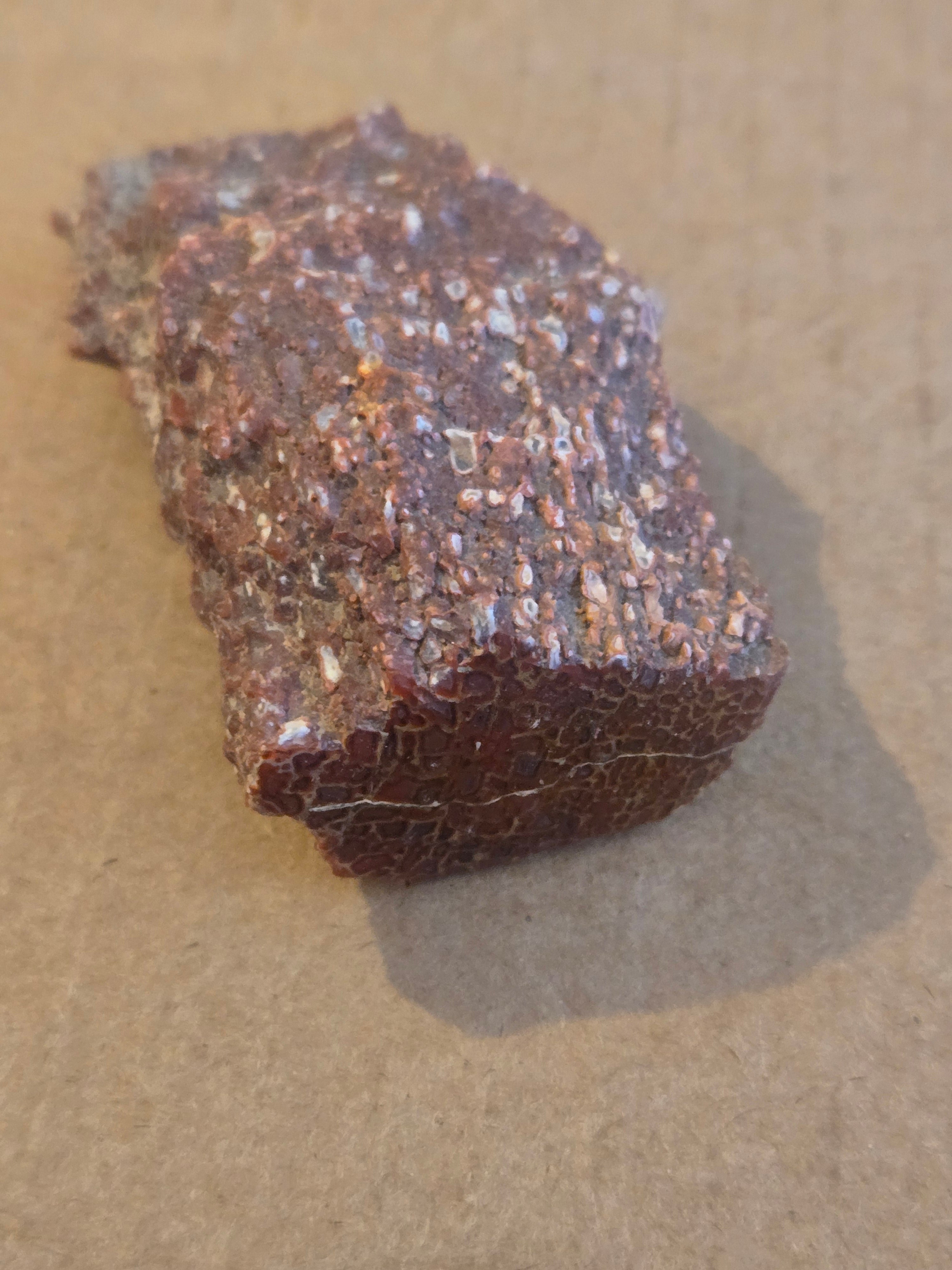 Polished red dinosaur bone