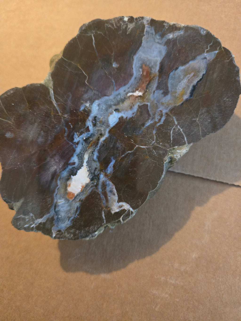 Polished Thunderegg
