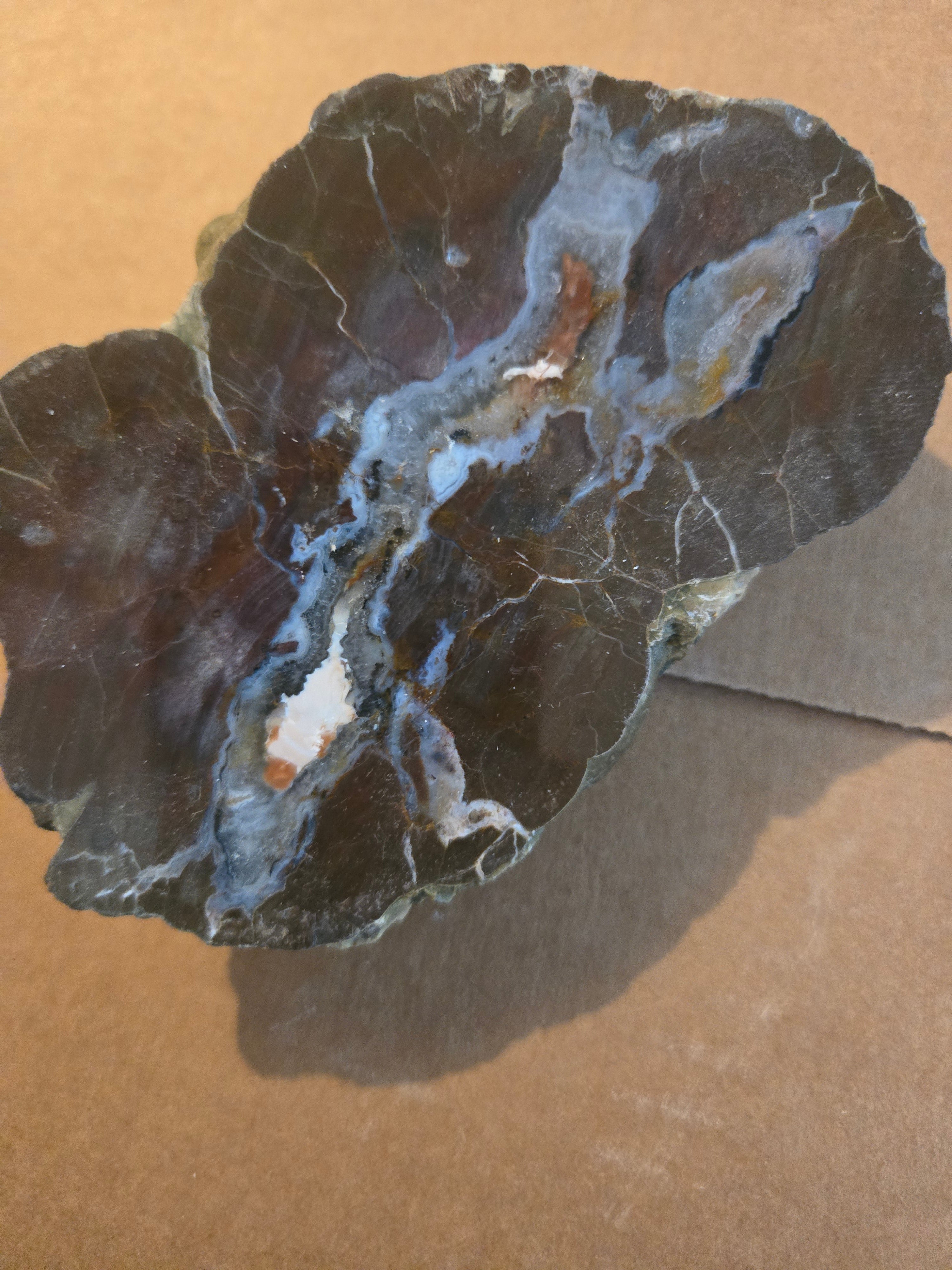Polished Thunderegg