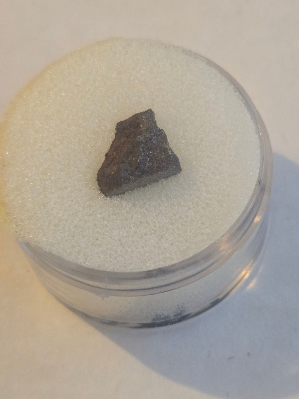 Portales valley meteorite specimen