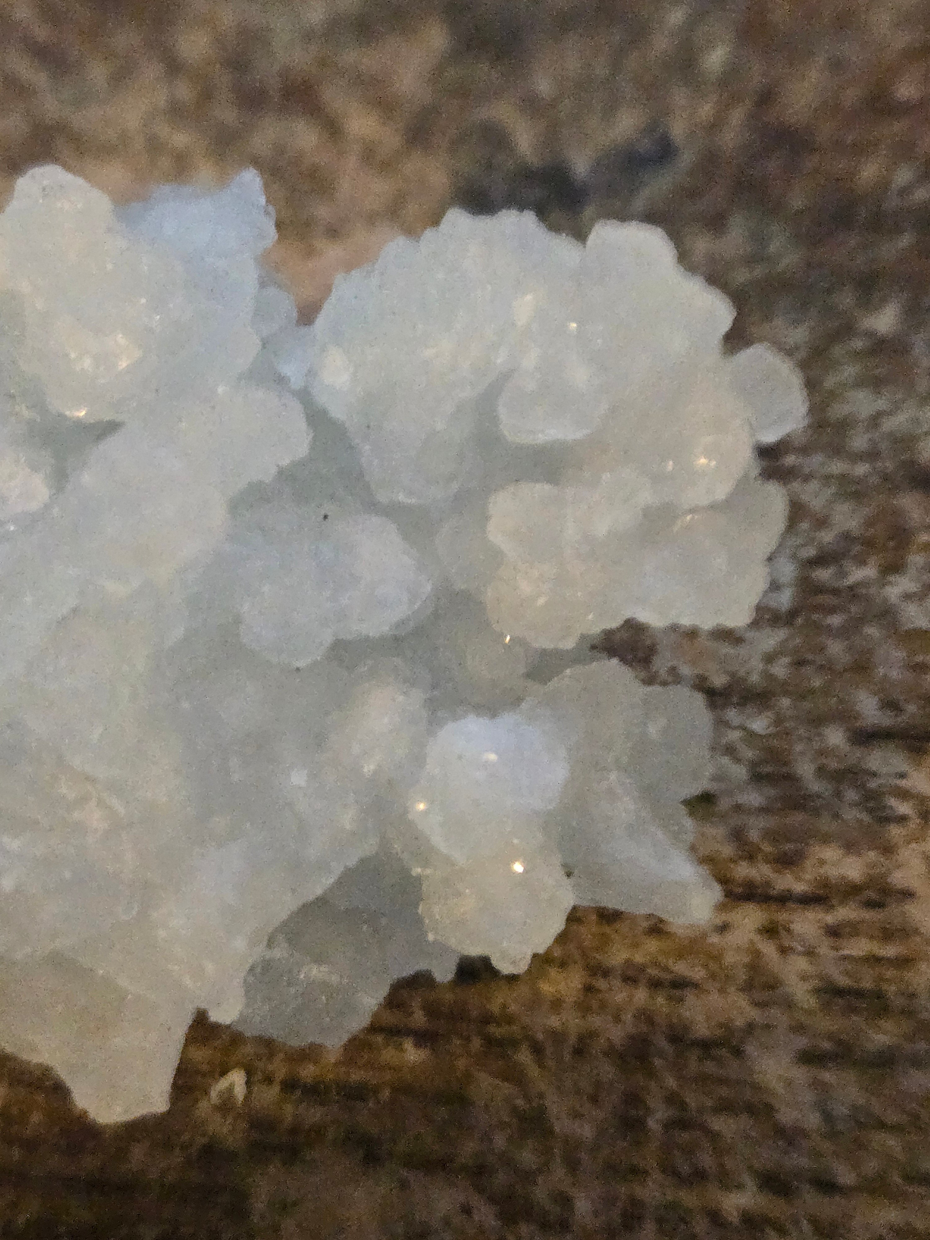 Prehnite