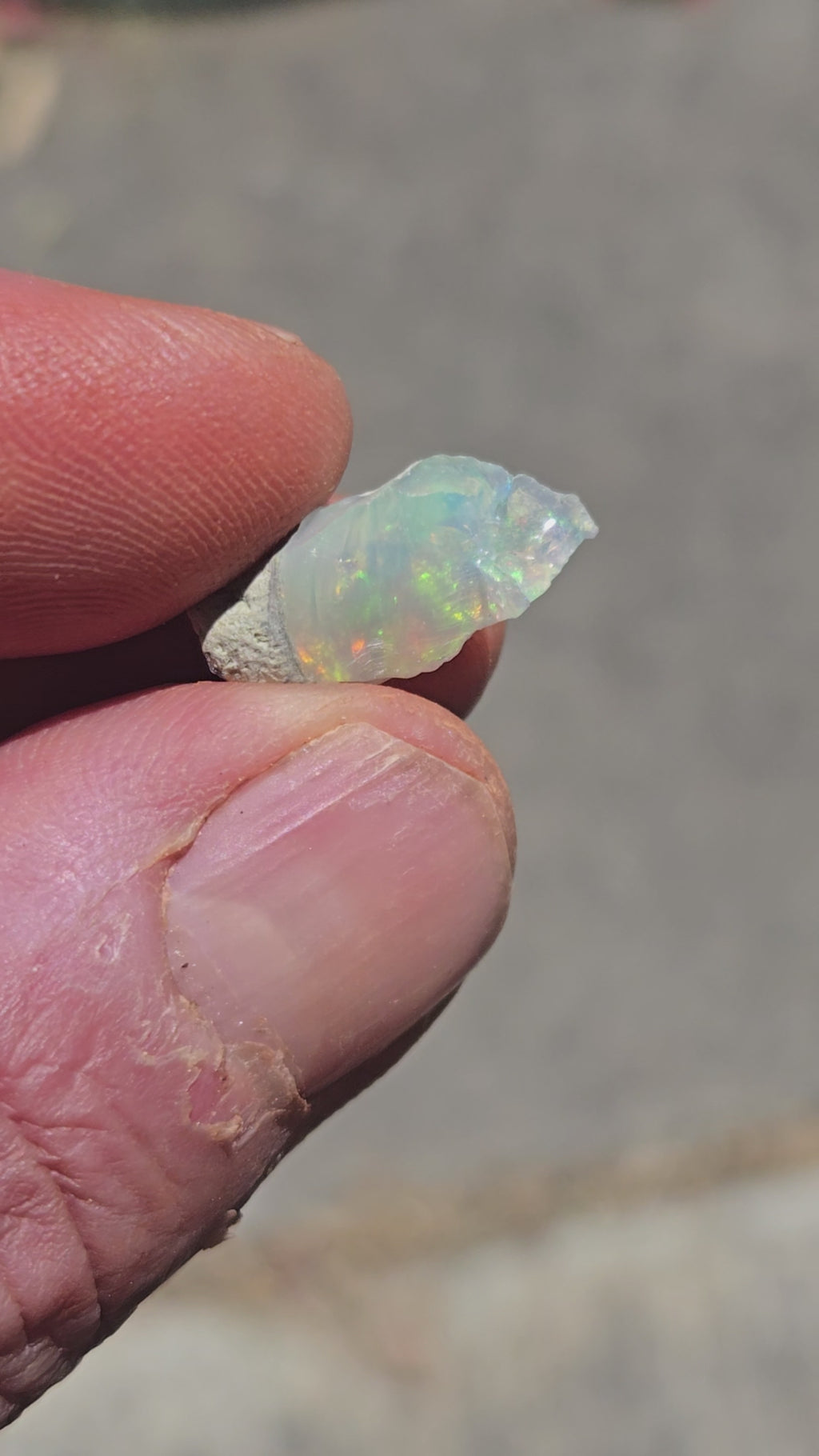 Welo opal rough