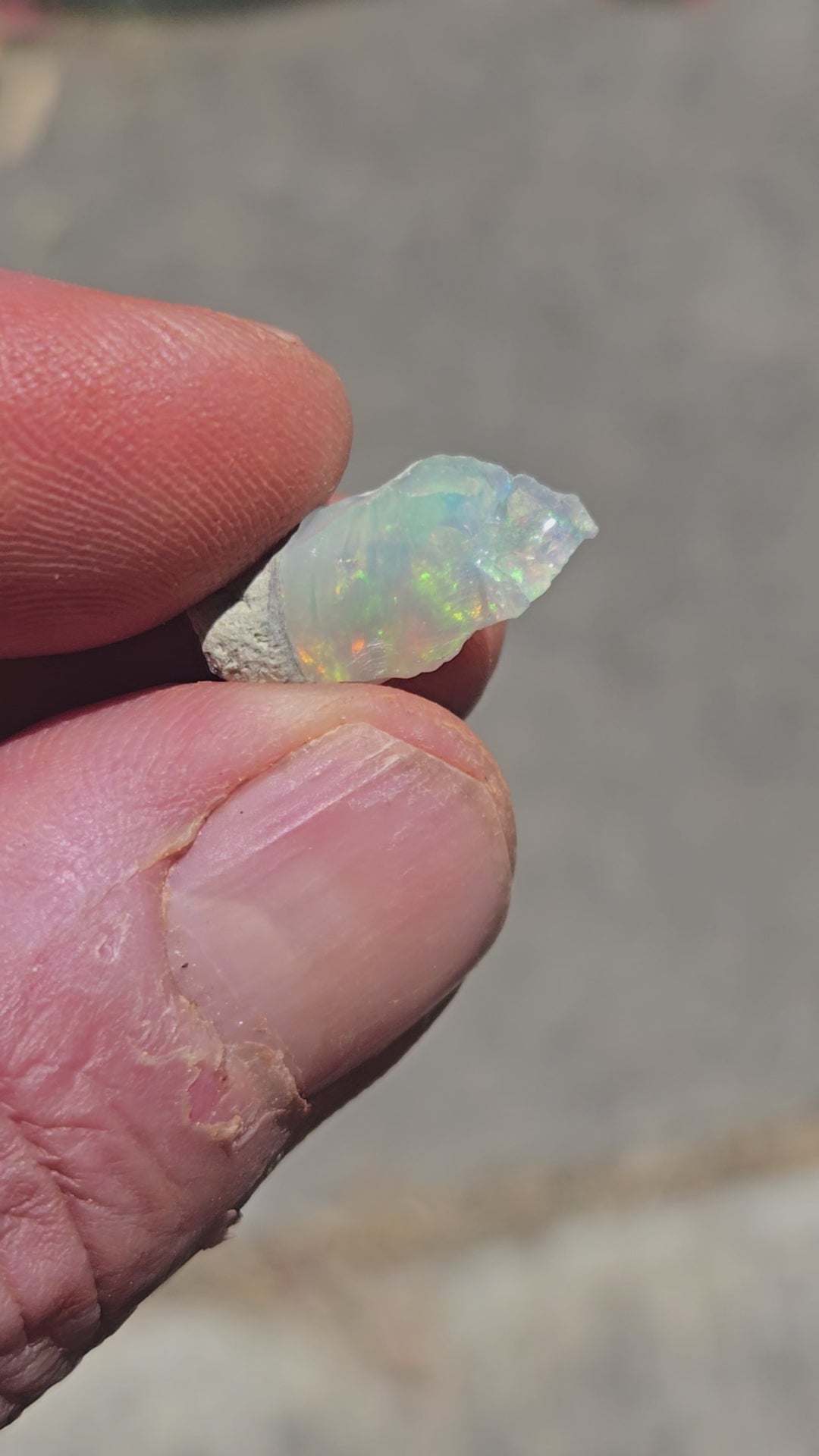 Welo opal rough