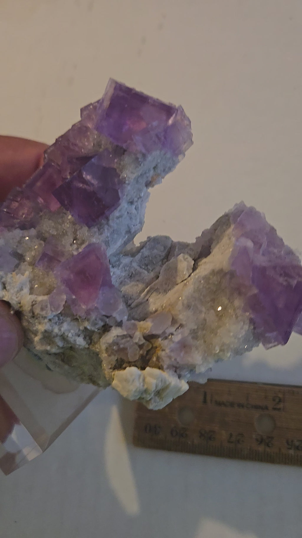 Fluorite Rabbit Ears