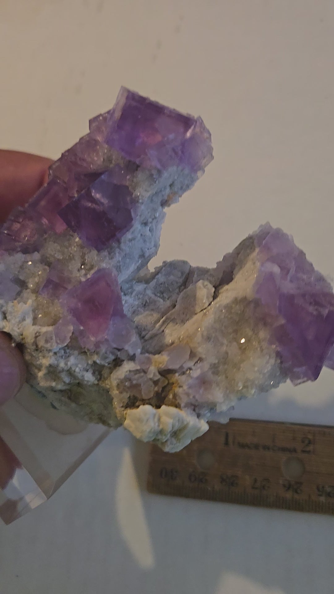 Fluorite Rabbit Ears