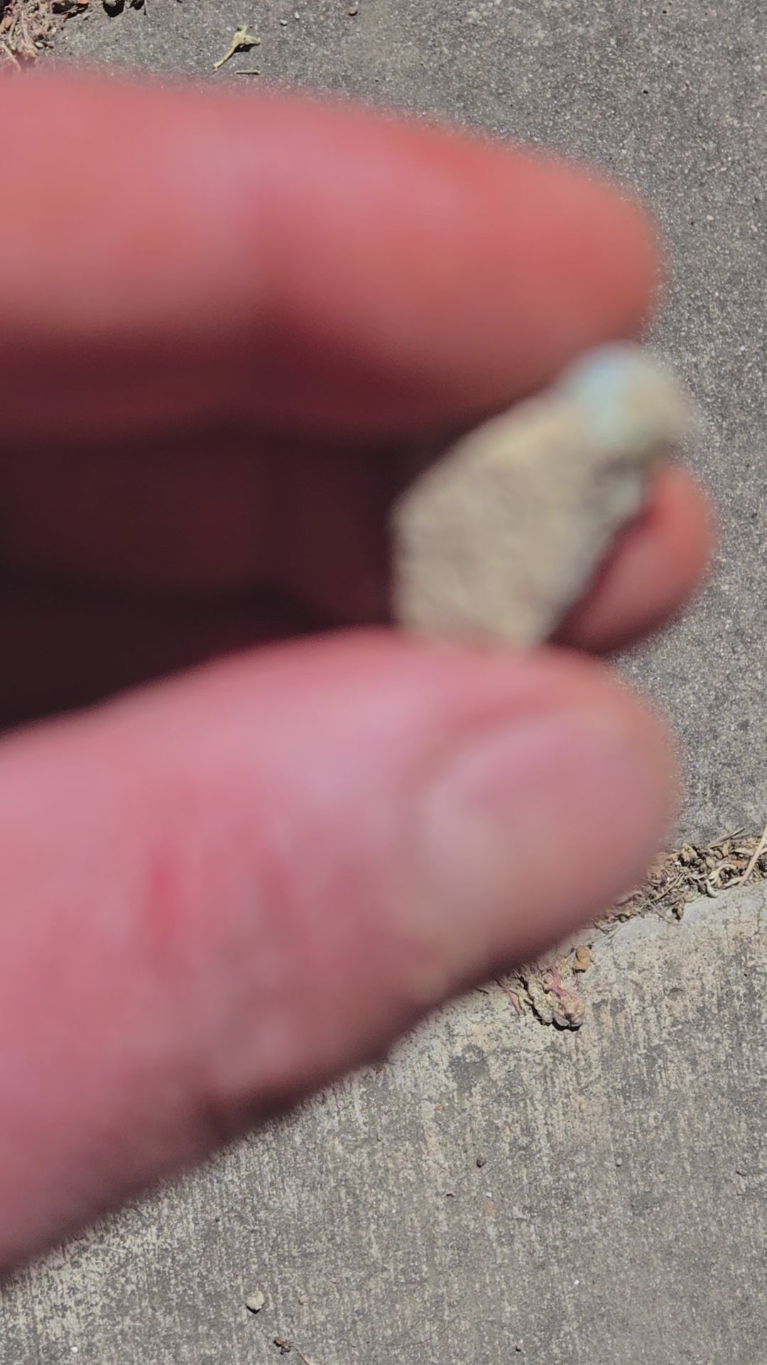 Welo opal rough