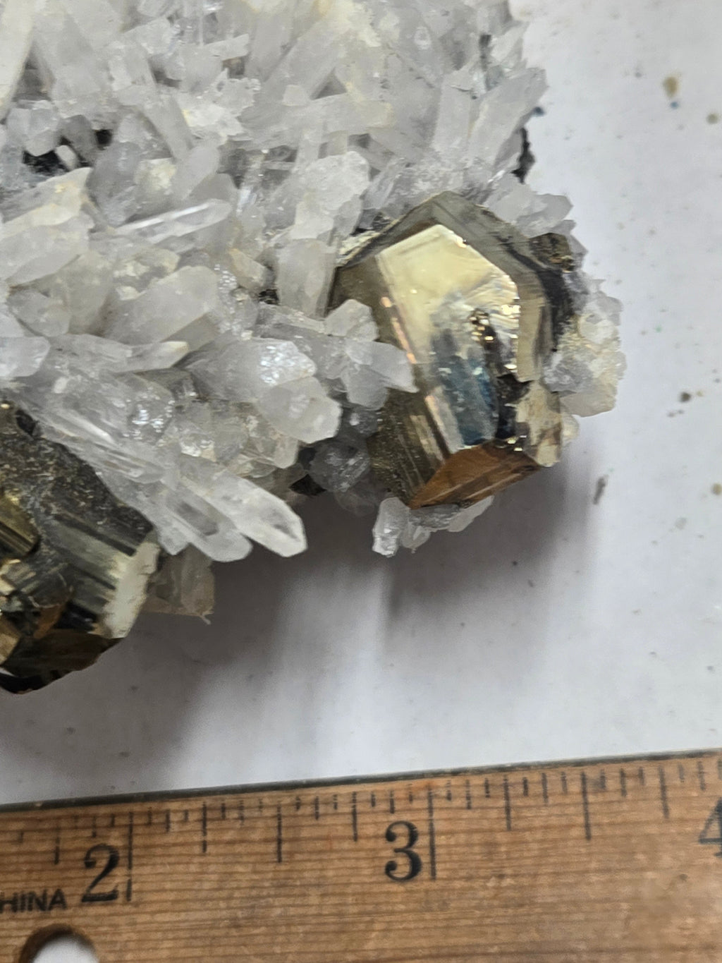 Pyrite w quartz