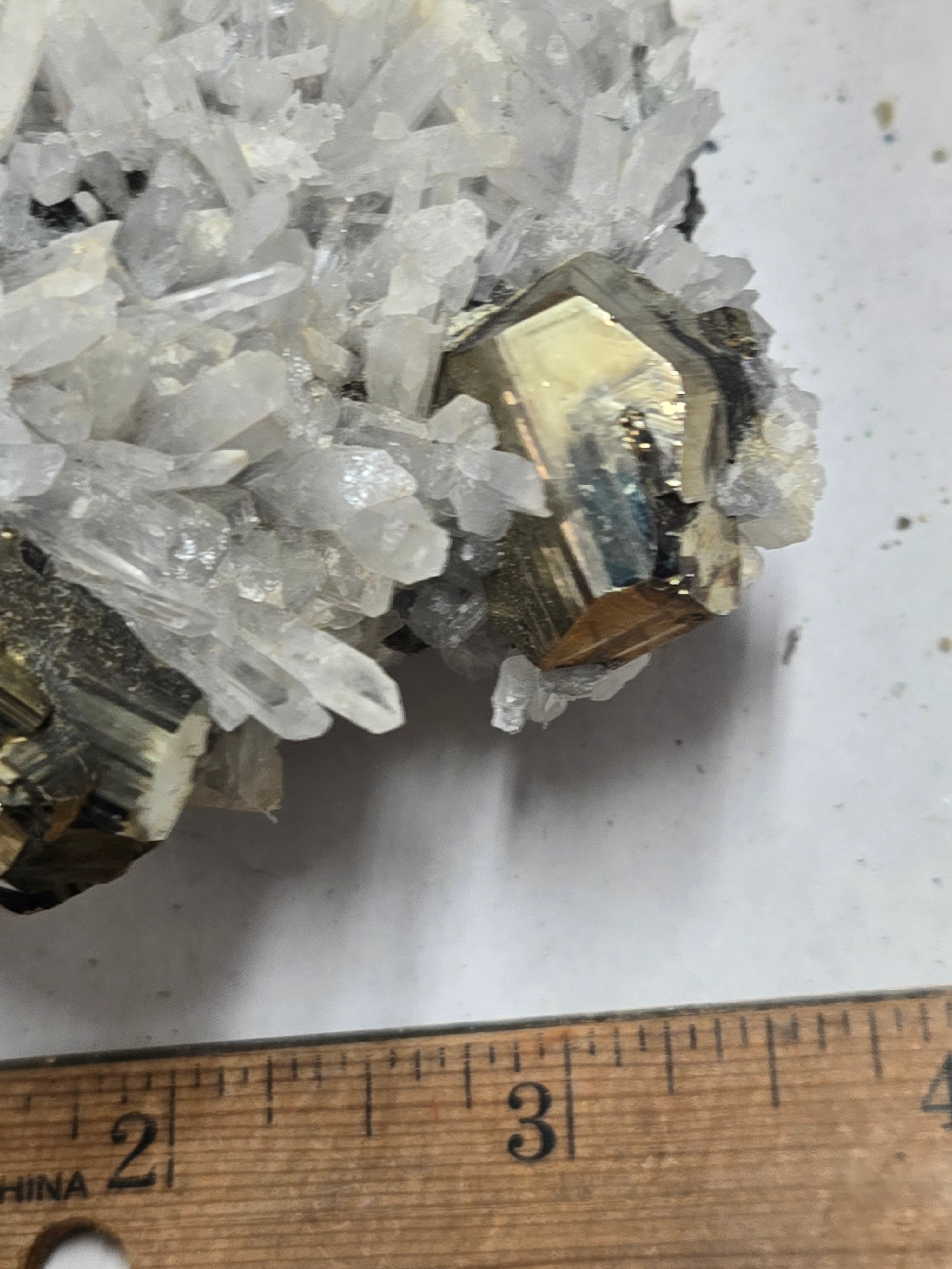 Pyrite w quartz
