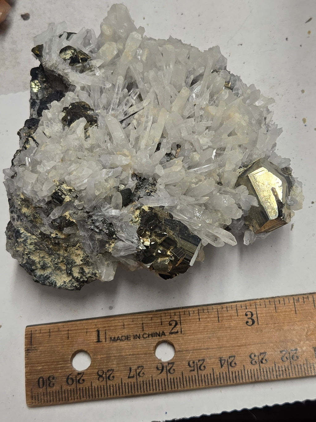 Pyrite w quartz
