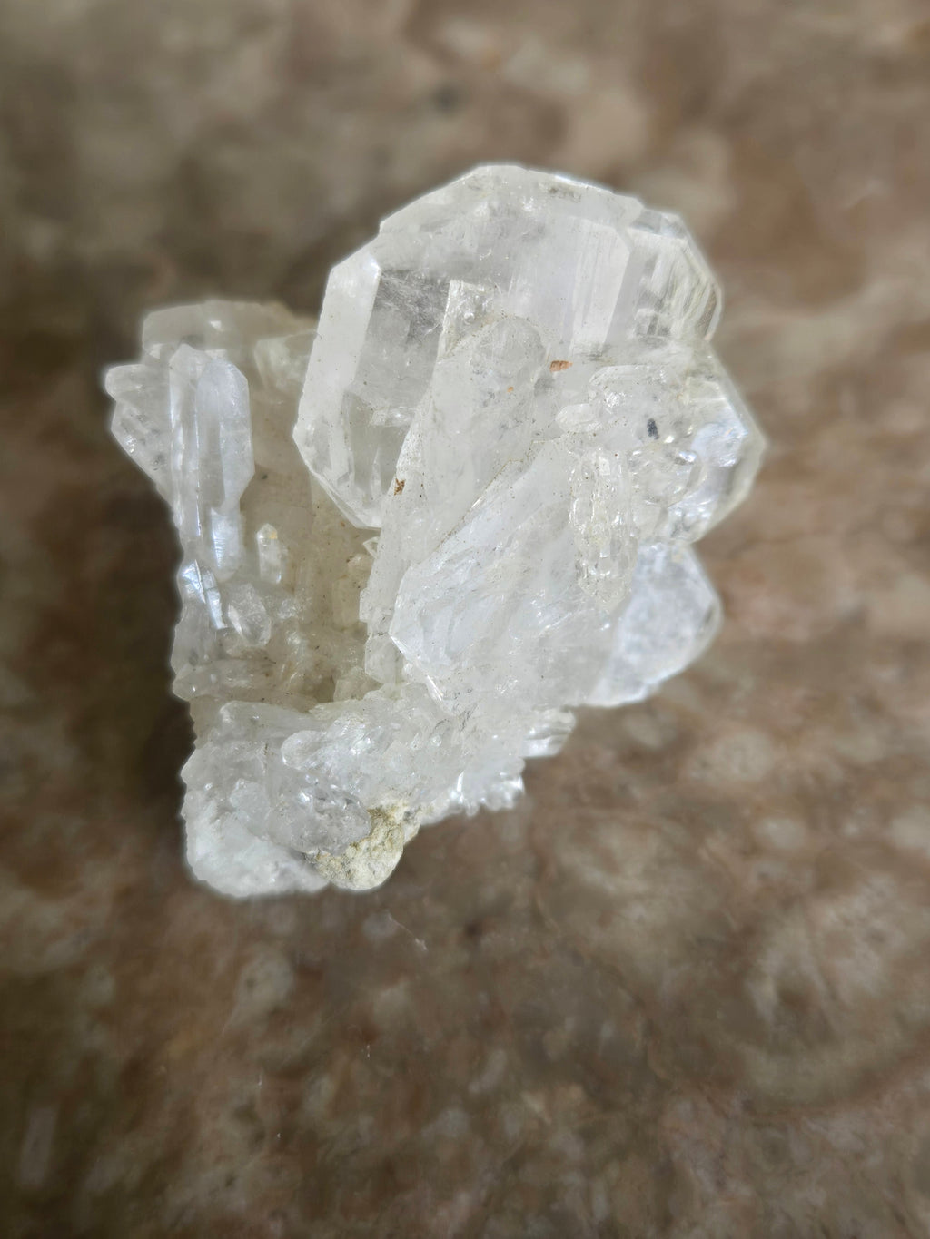 Quartz var Fadden
