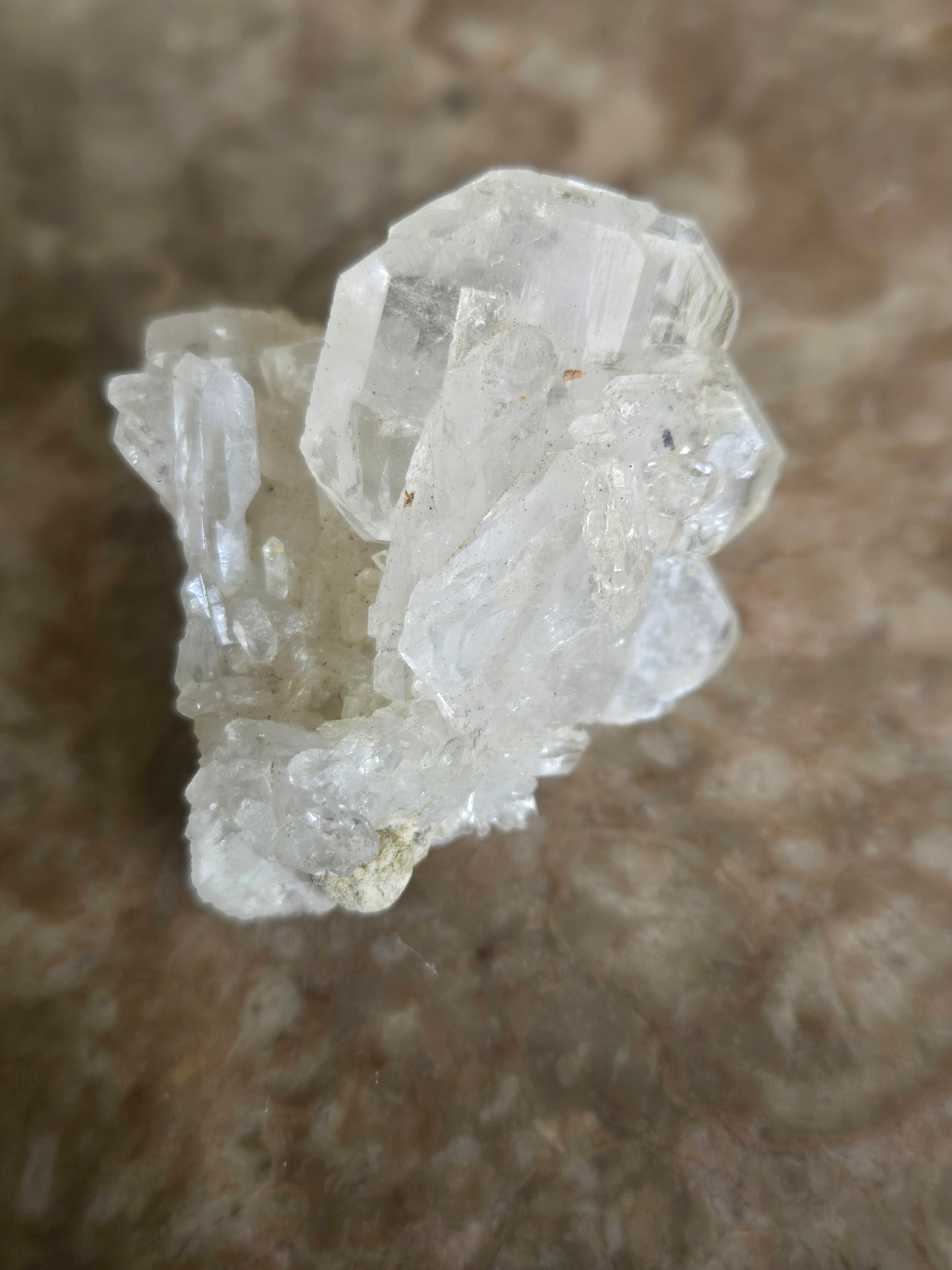 Quartz var Fadden