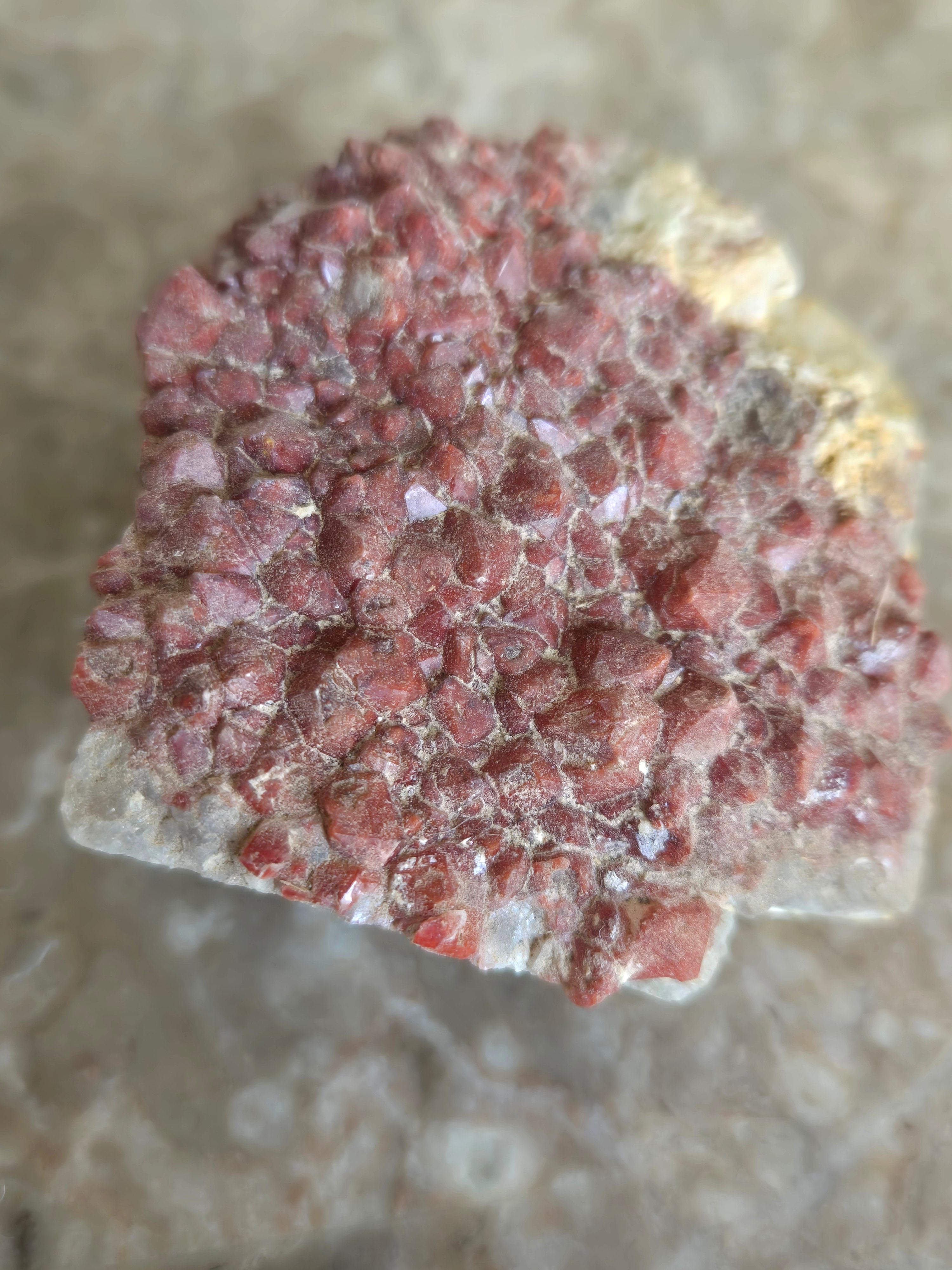 Quartz w hematite
