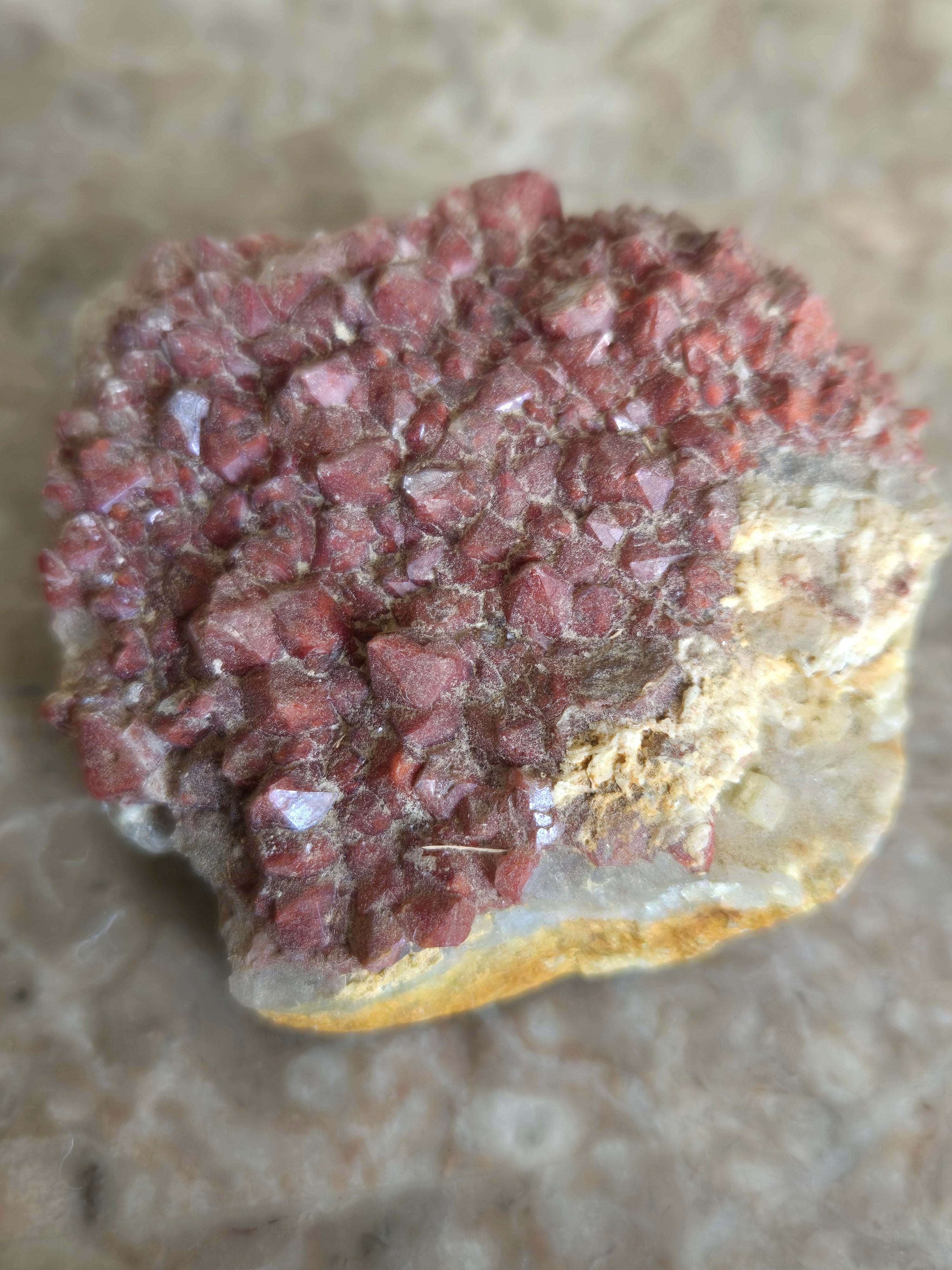 Quartz w hematite