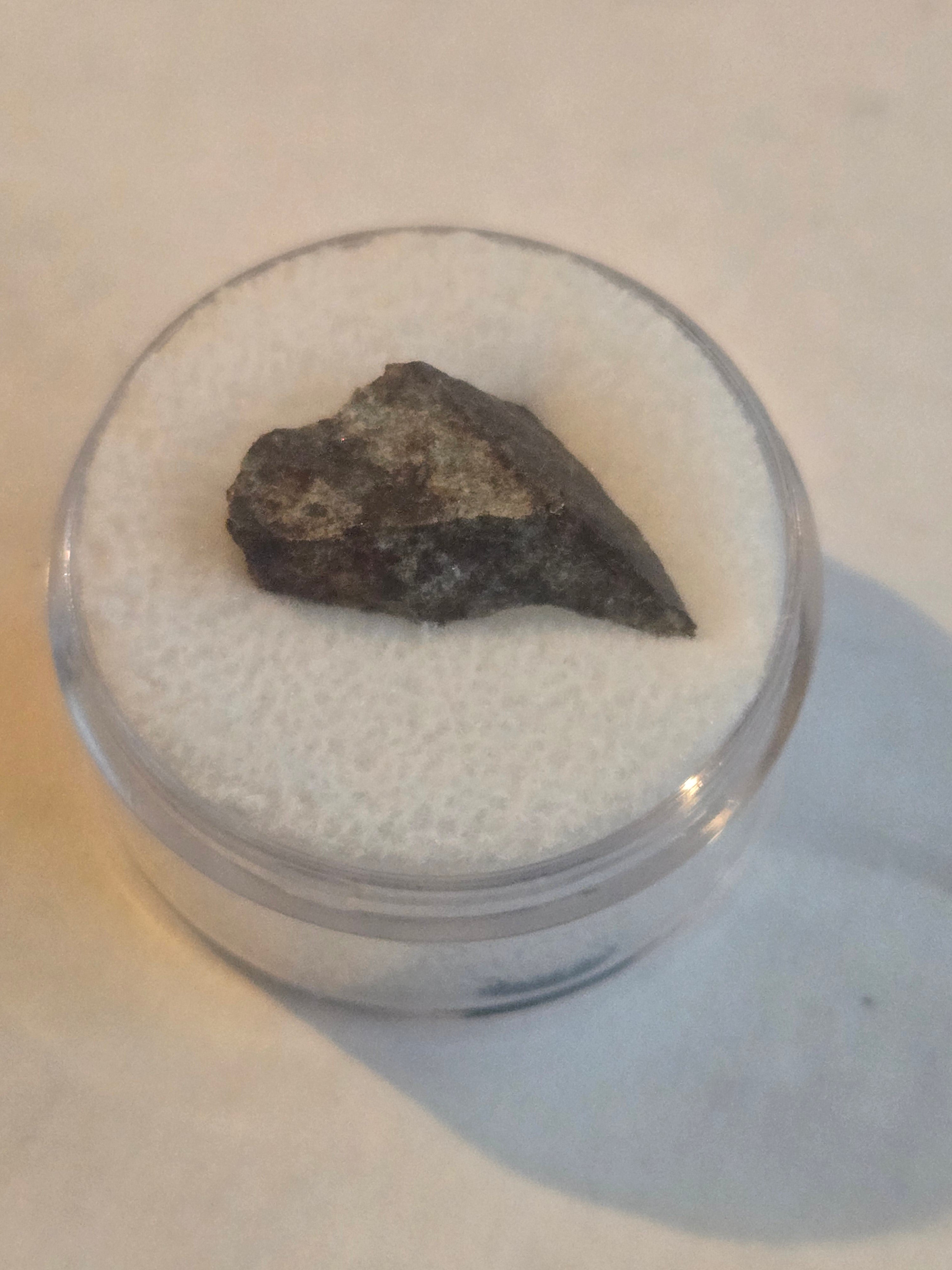 Quitovac Mexico meteorite ordinary chondrite L5