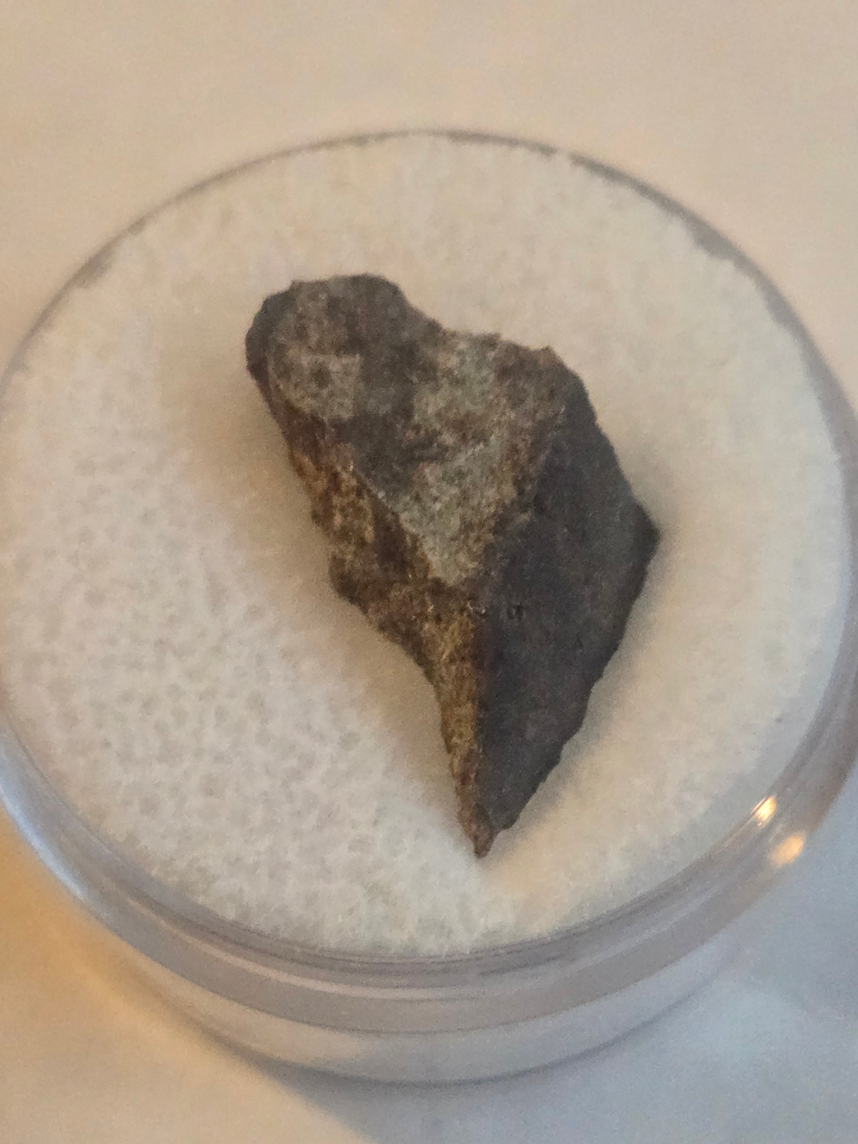 Quitovac Mexico meteorite ordinary chondrite L5