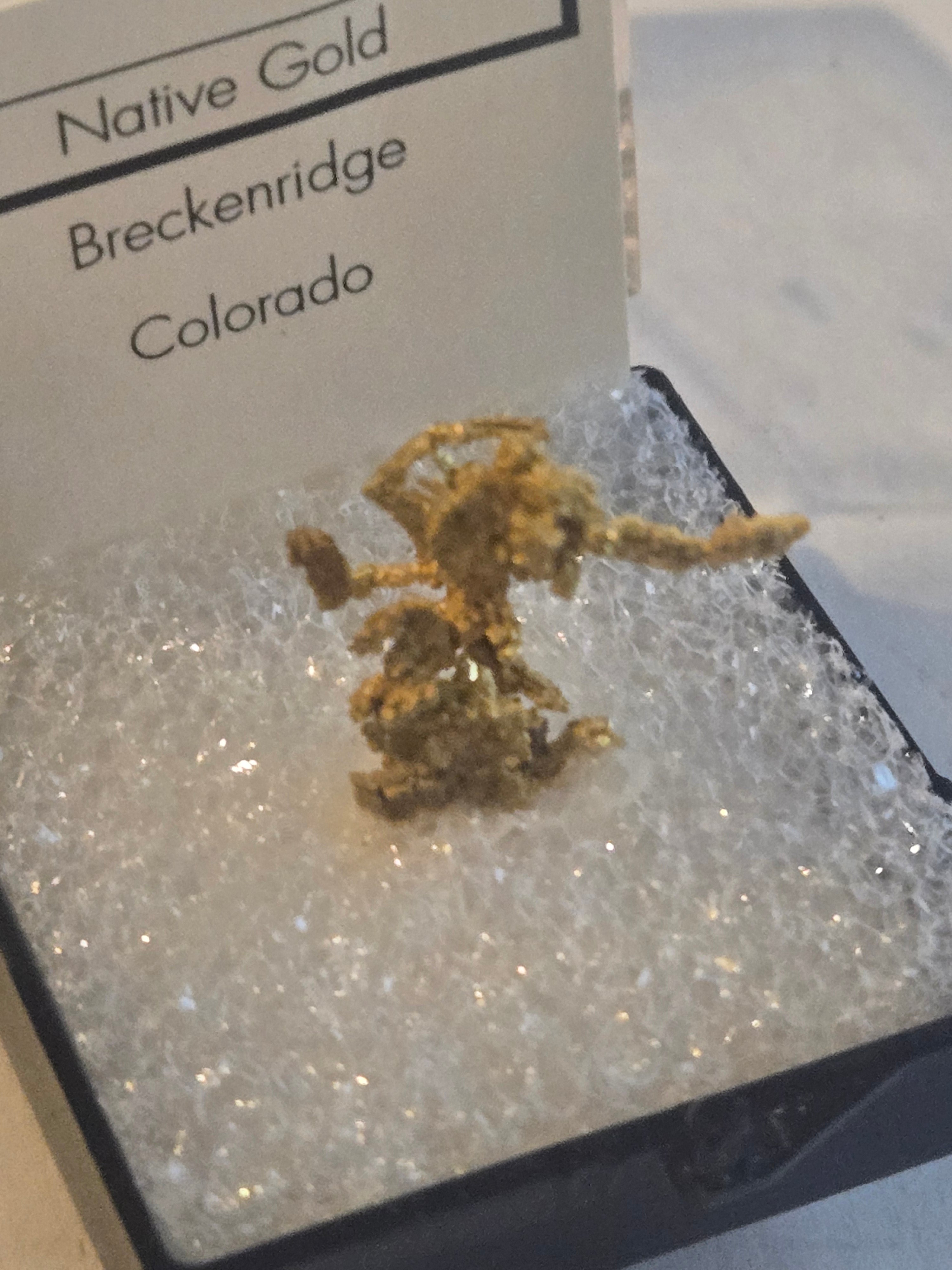 Rare Farncomb Hill Crystallized Gold specimen