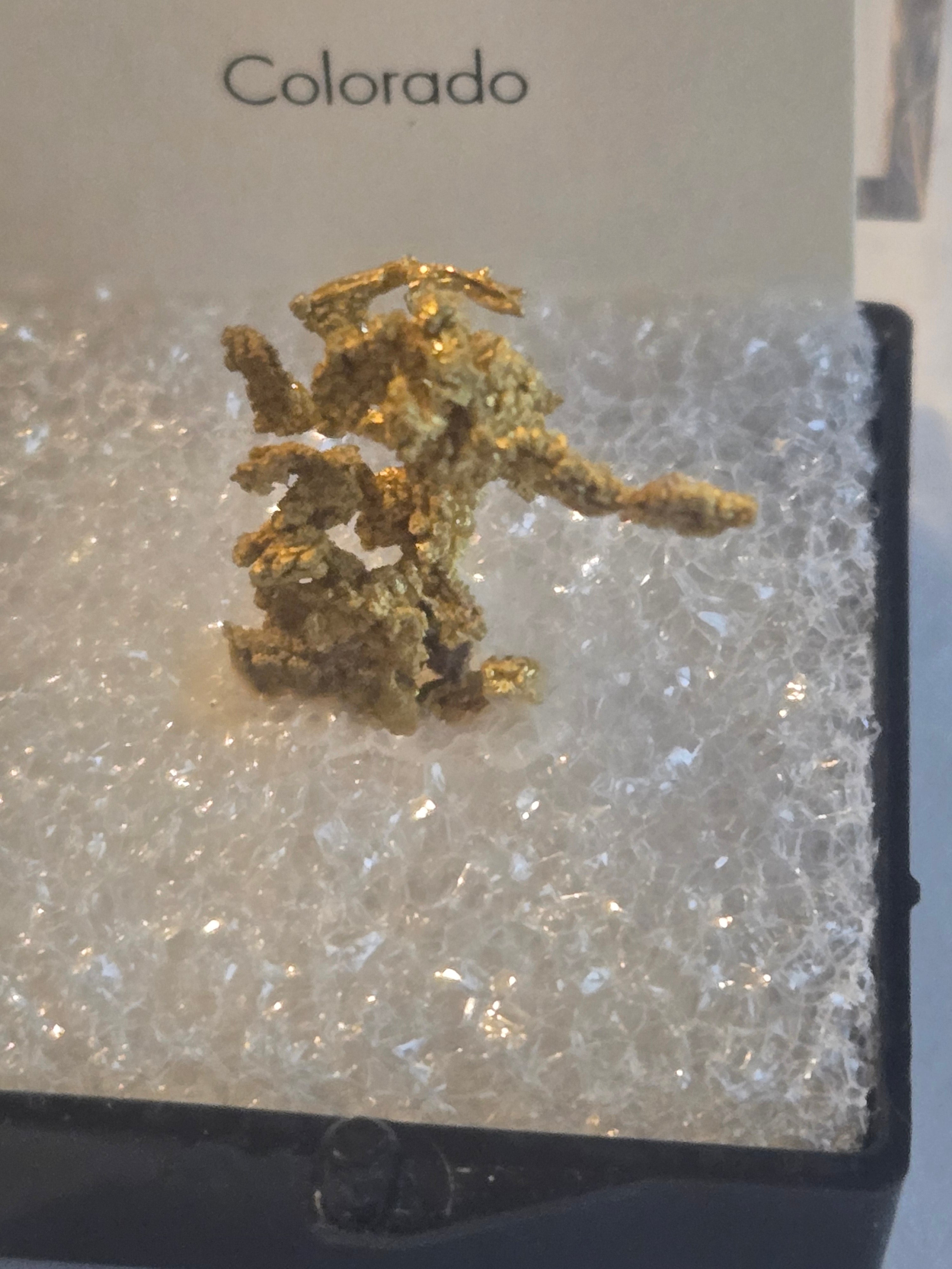 Rare Farncomb Hill Crystallized Gold specimen
