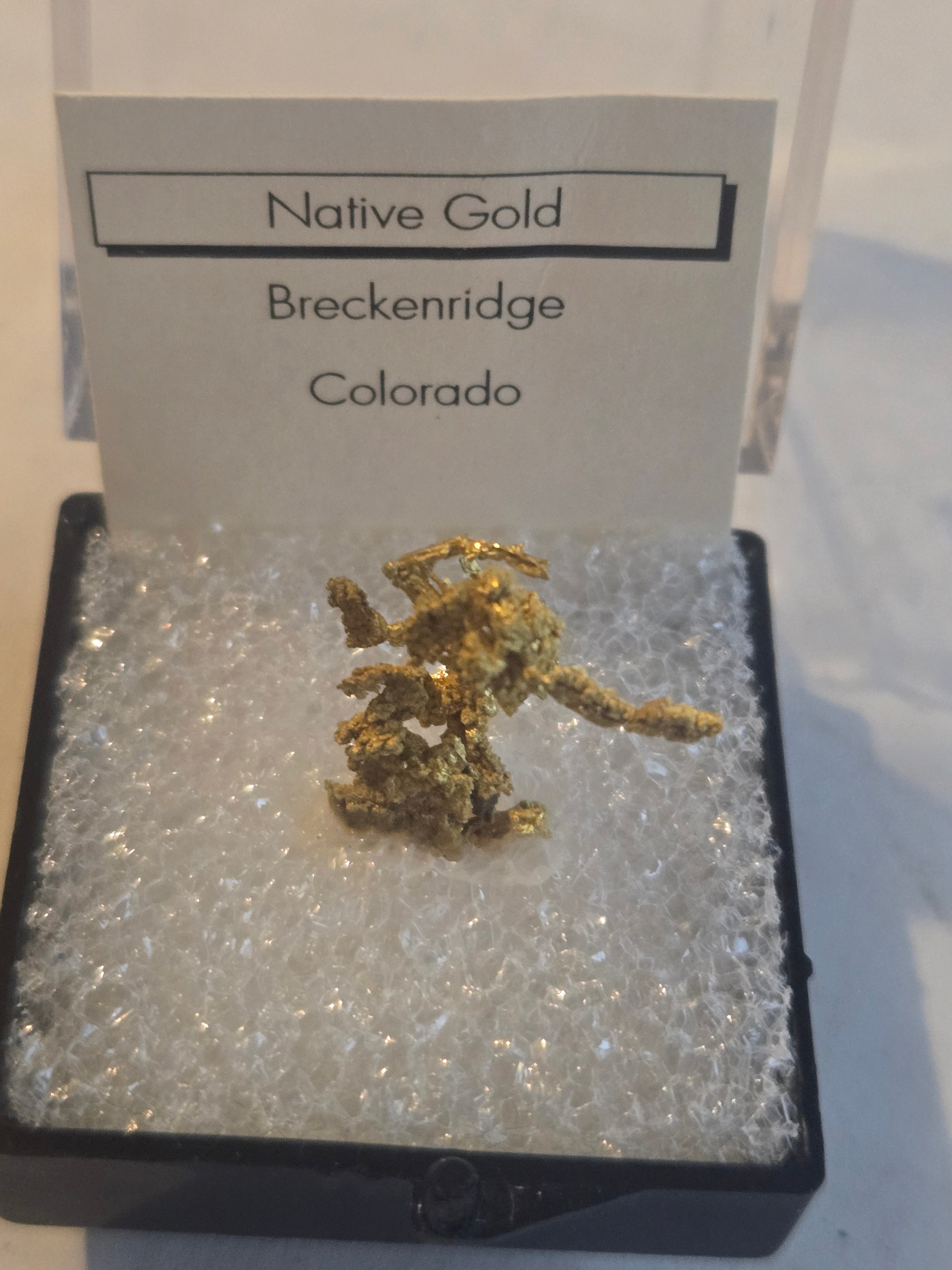 Rare Farncomb Hill Crystallized Gold specimen