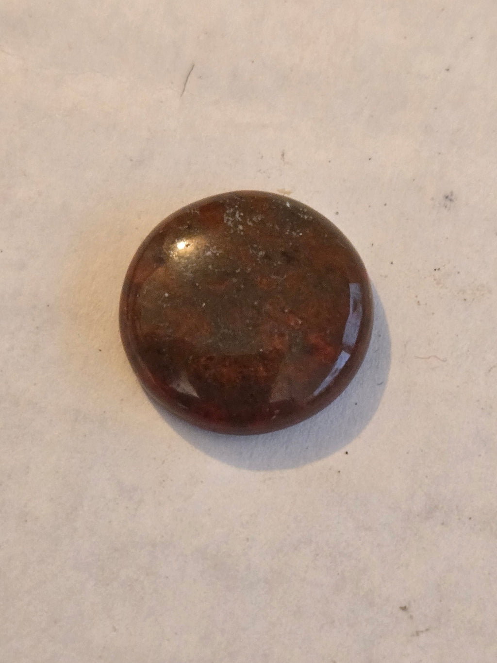 Red dinosaur bone cabochon