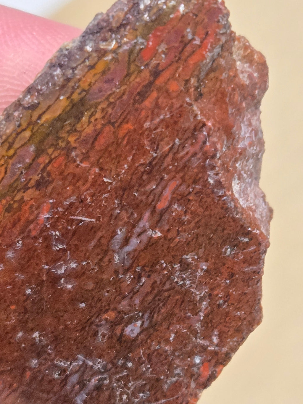 Red dinosaur bone gembone