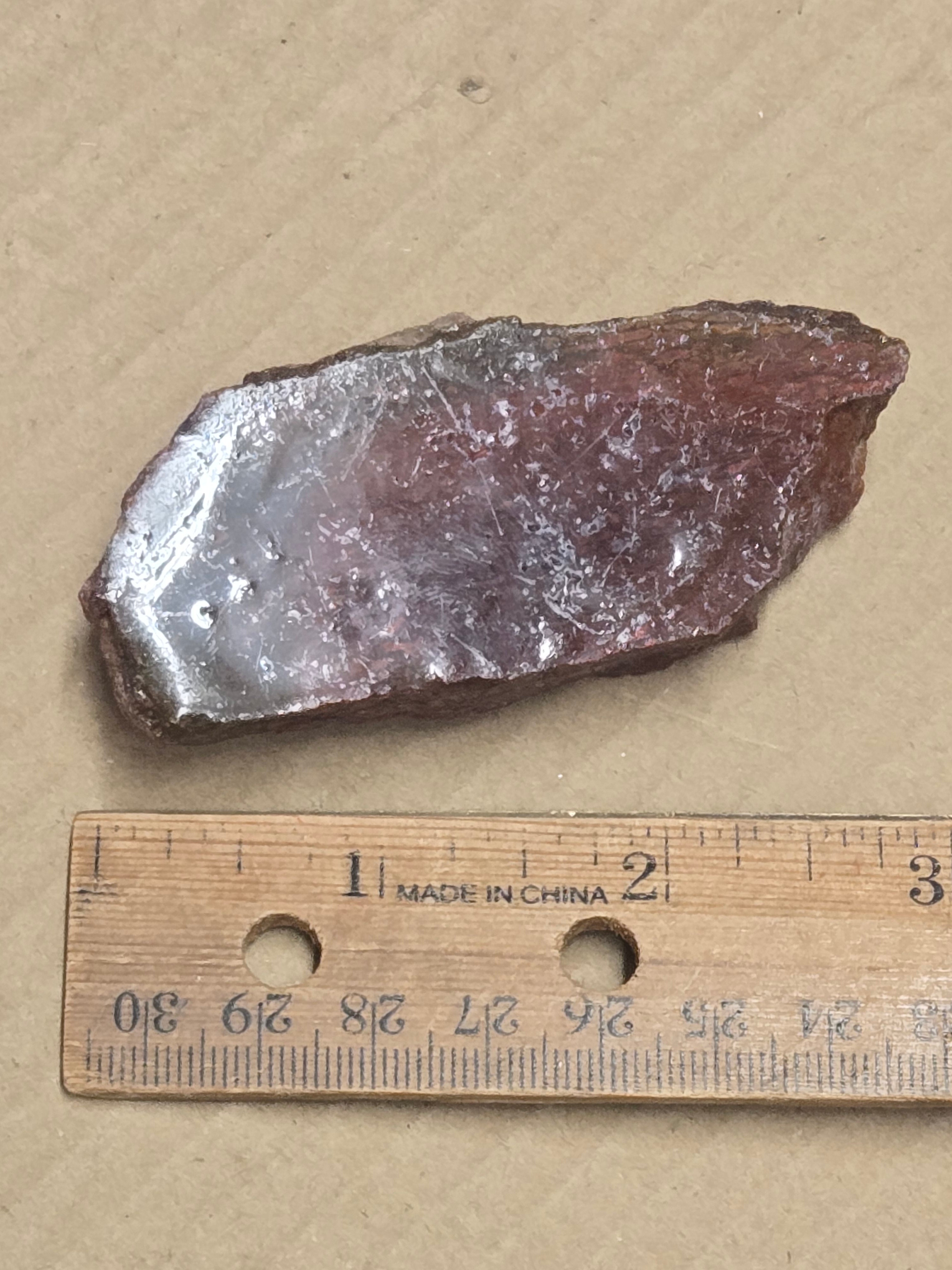 Red dinosaur bone gembone
