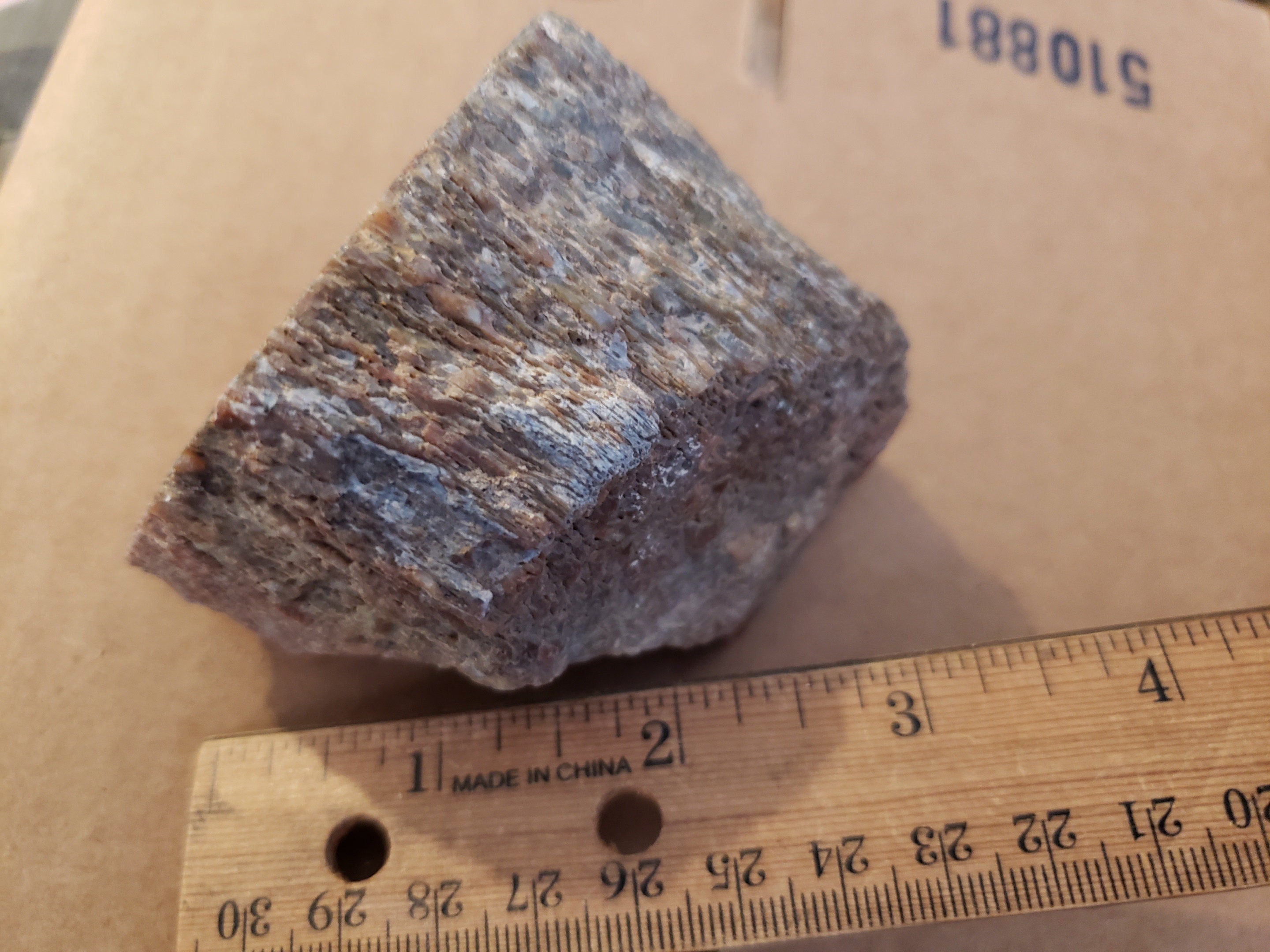 Red Dinosaur Bone Specimen