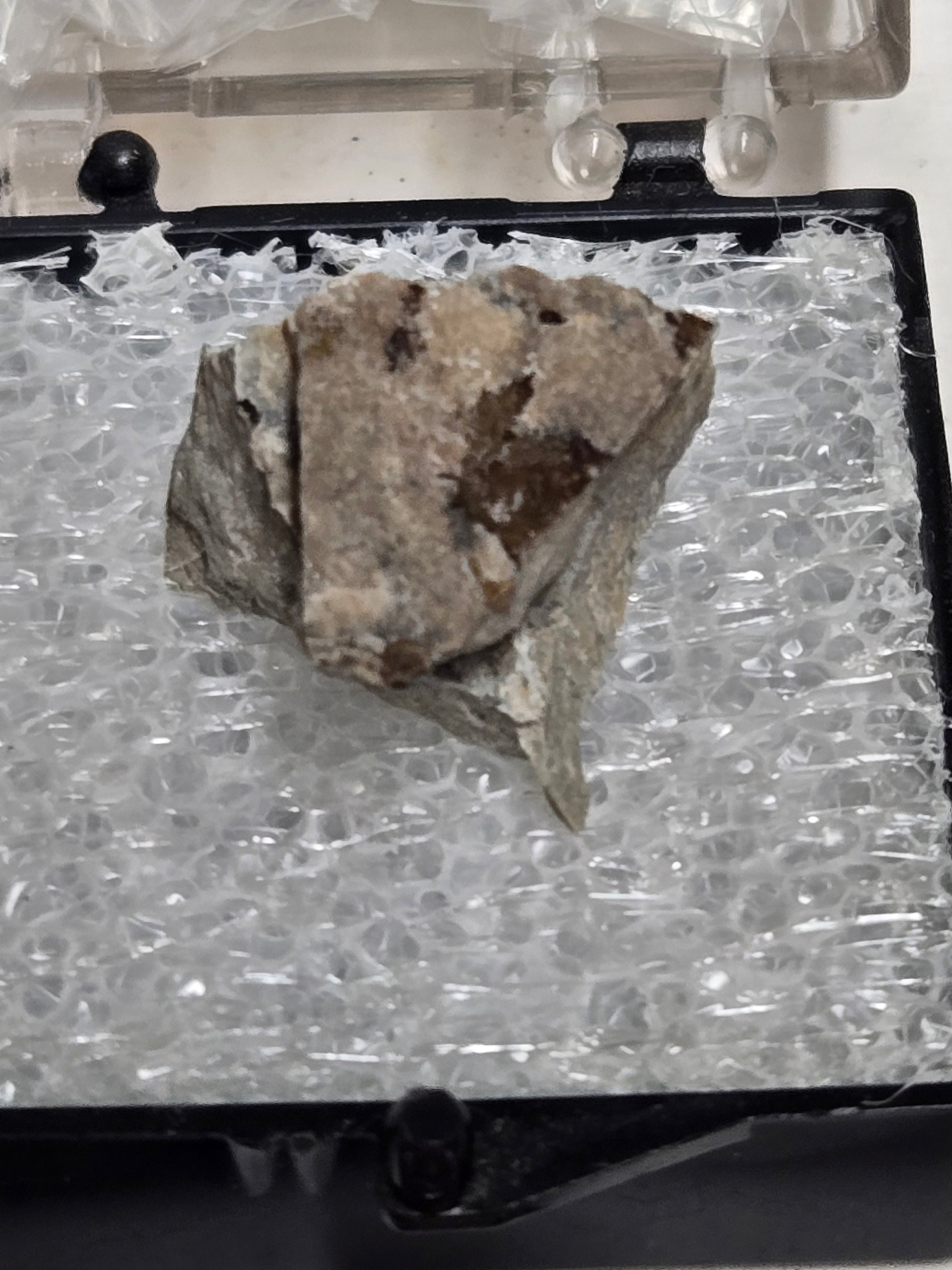 Rickardite specimen