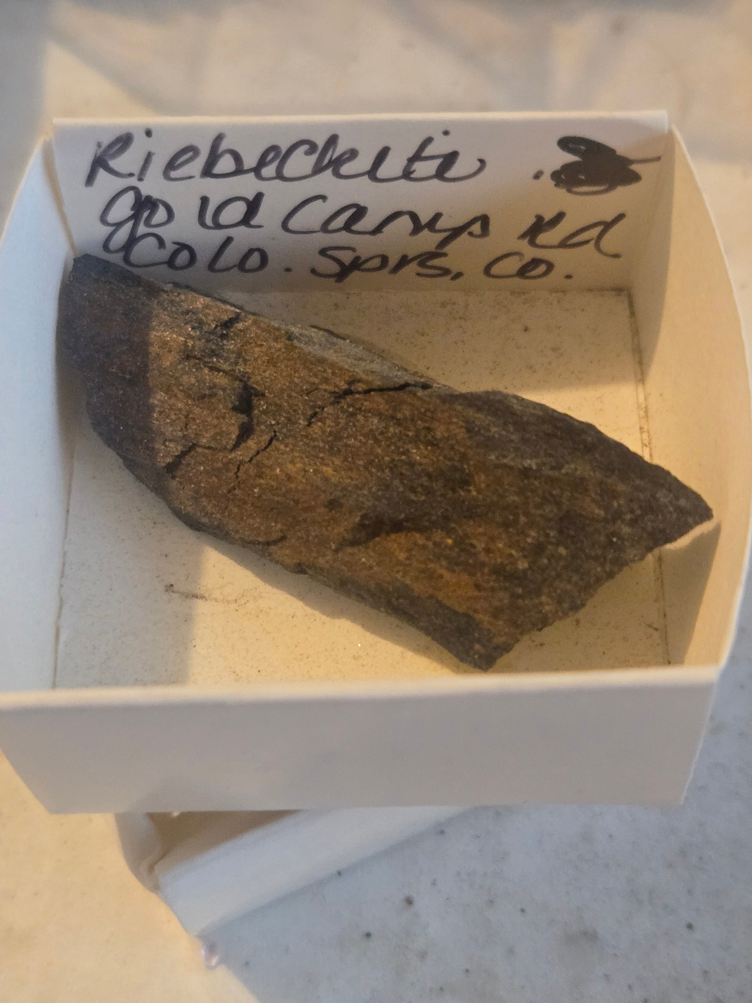 Riebeckite
