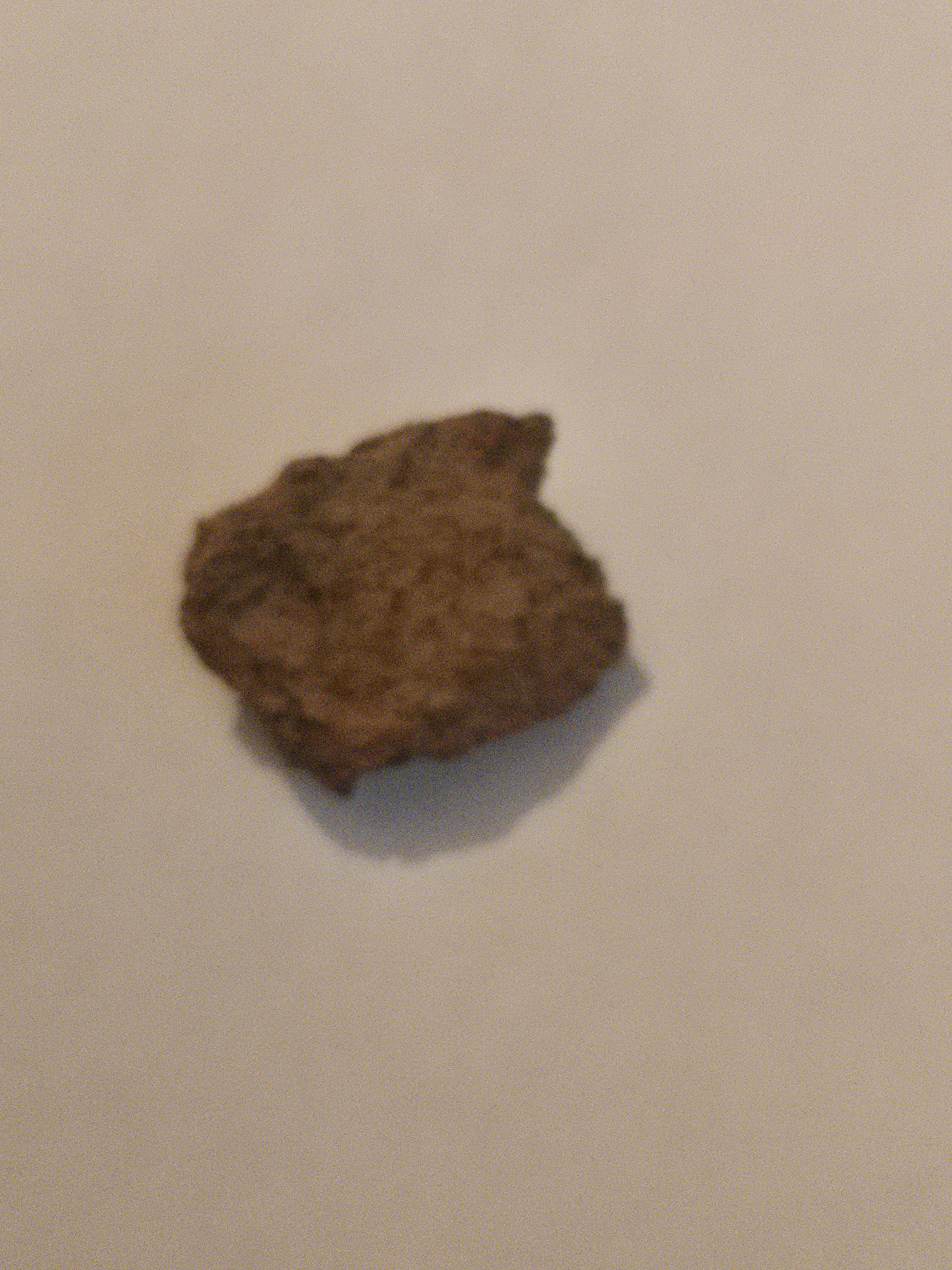 Vaca Muerta meteorite specimen
