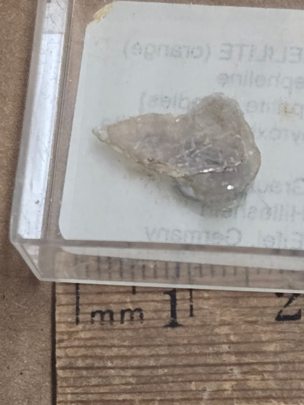 Masutomilite